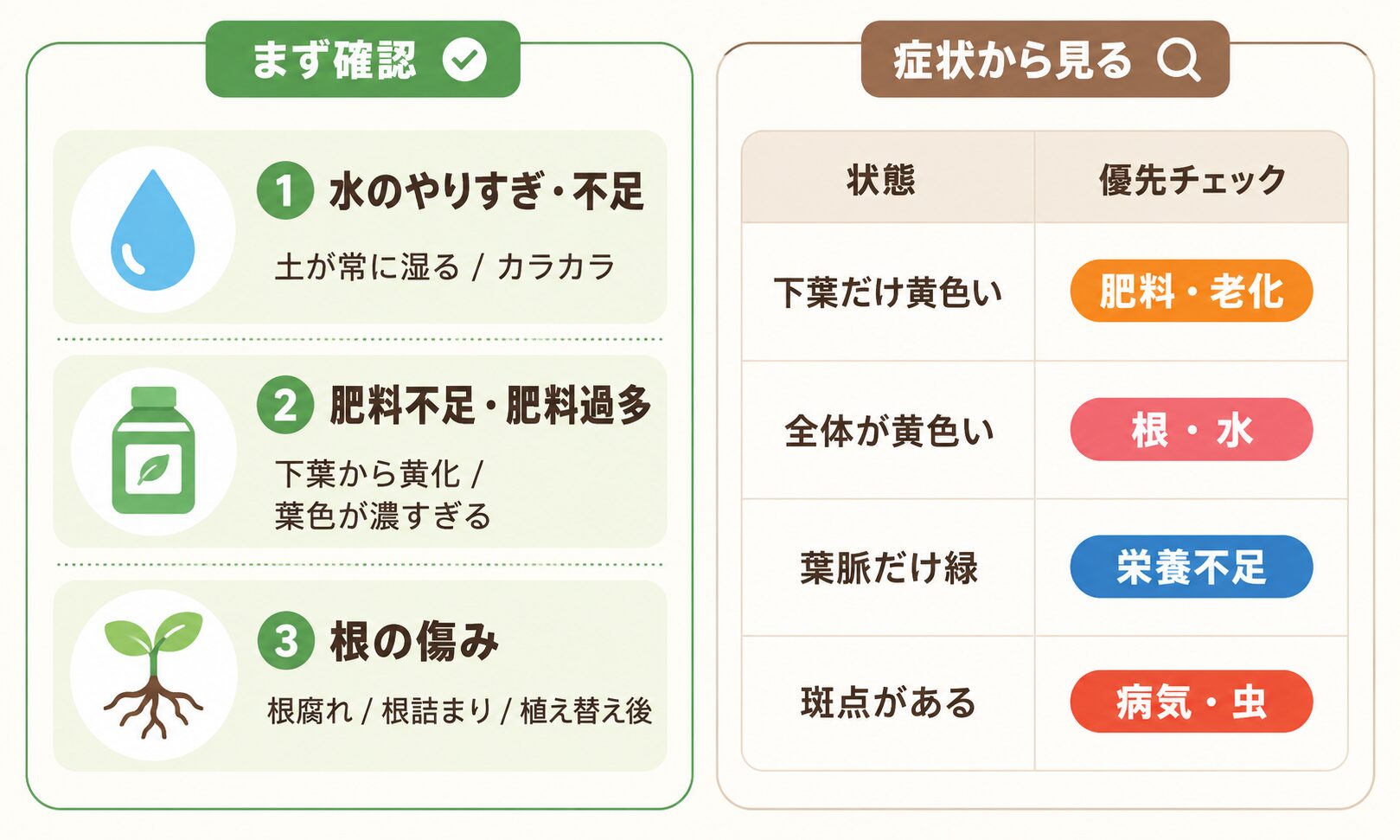 葉が黄色い時の3大原因を水やり・肥料・根の傷みで見分ける図解