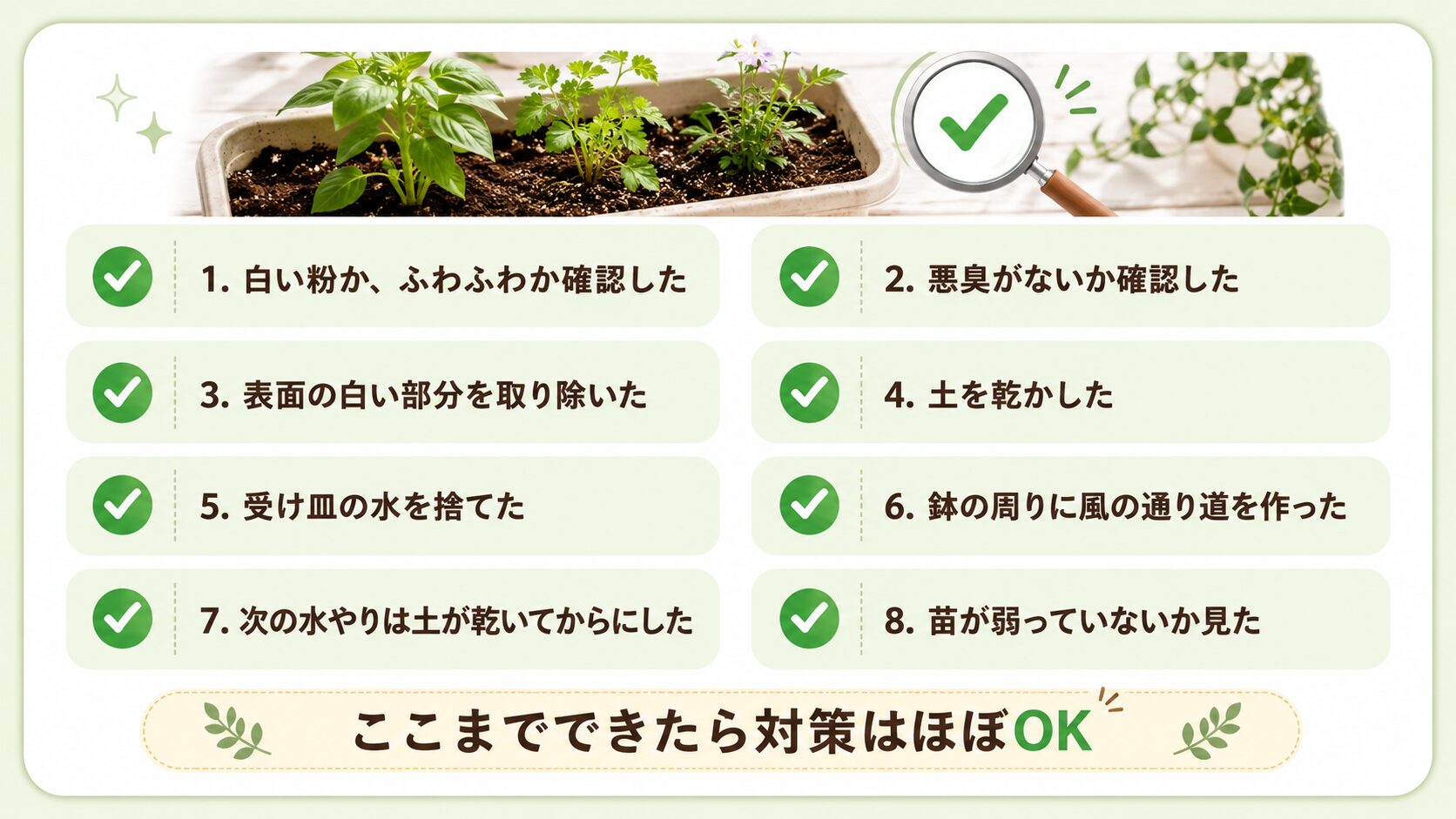 白いカビ対策の最終チェックリスト