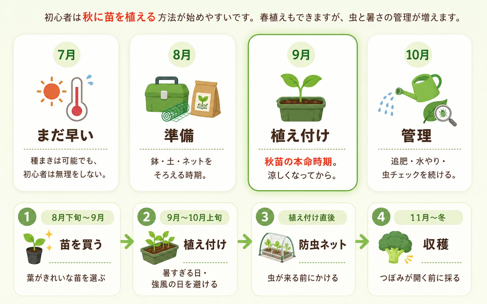 ブロッコリーのプランター栽培カレンダーと秋苗の植え付け時期