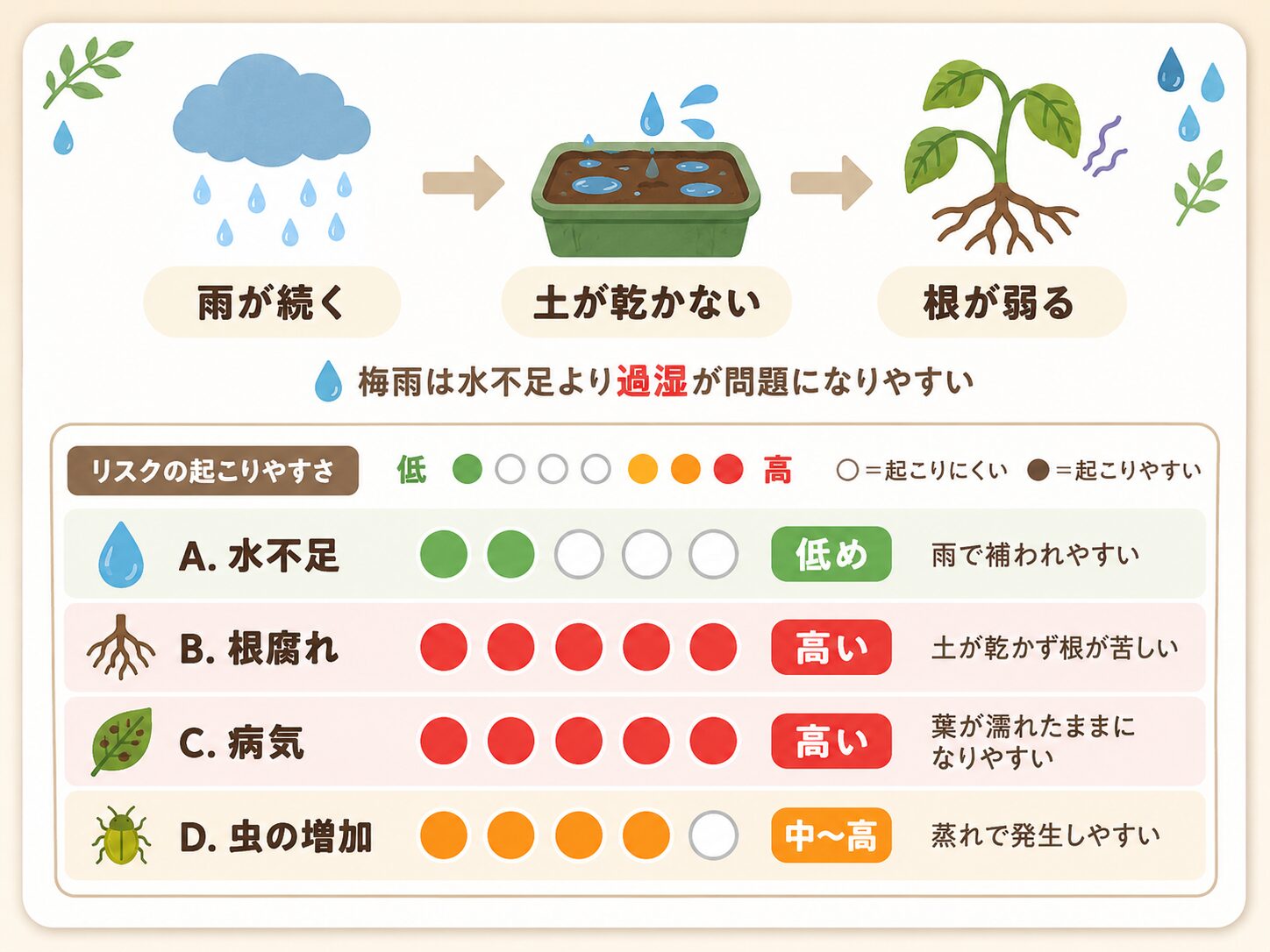 梅雨に雨が続くと土が乾かず根が弱り、根腐れや病気のリスクが高くなることを示した図解