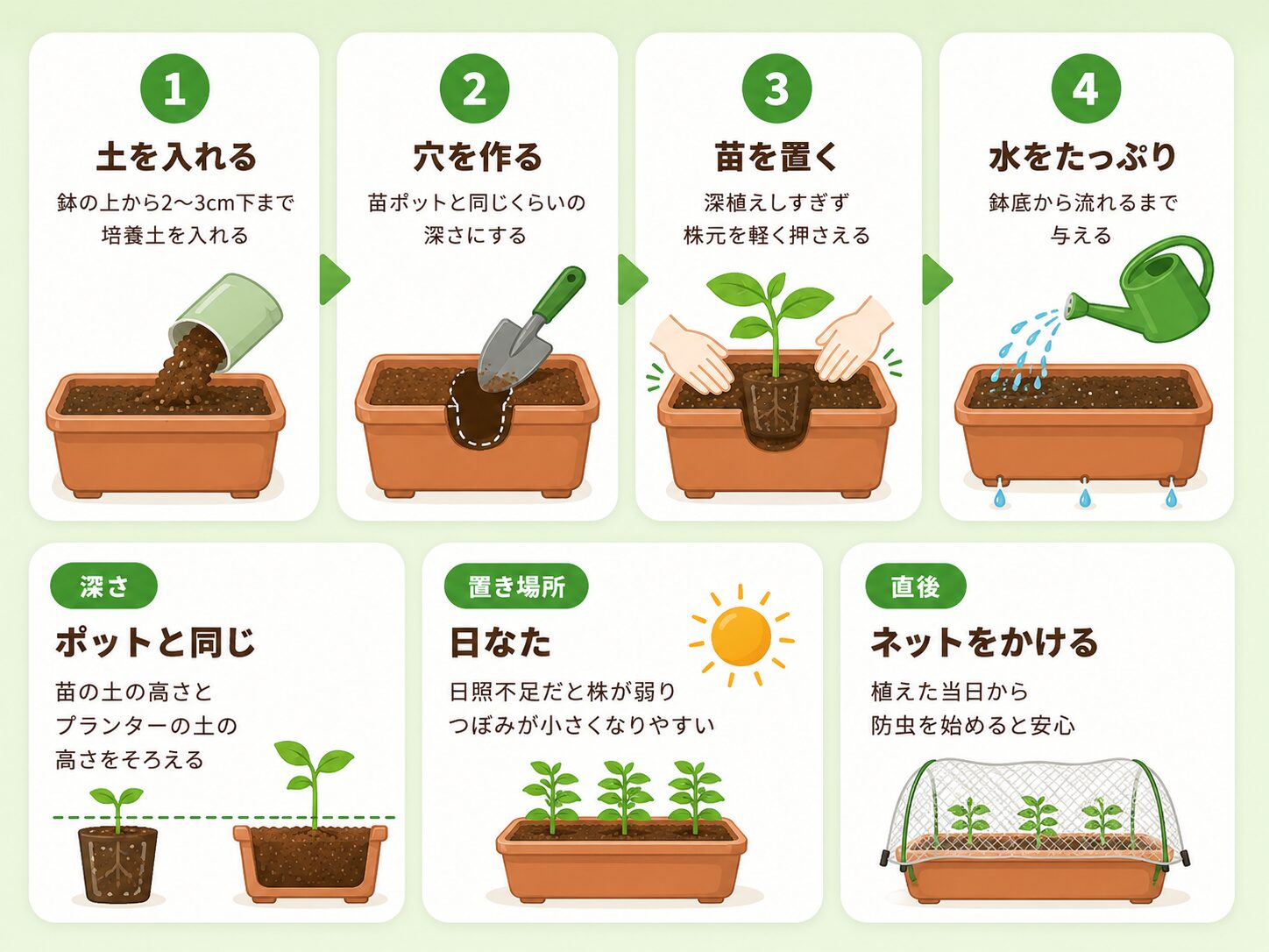 ブロッコリー苗のプランター植え付け手順