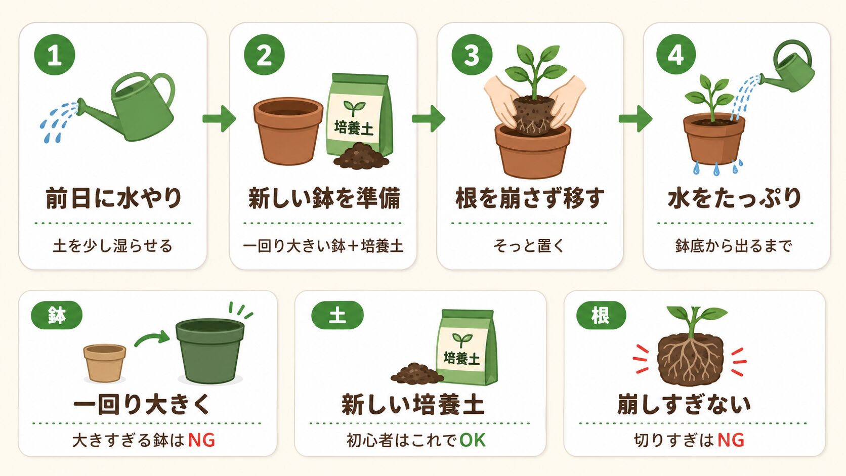 家庭菜園の植え替え手順を4ステップで示した図解