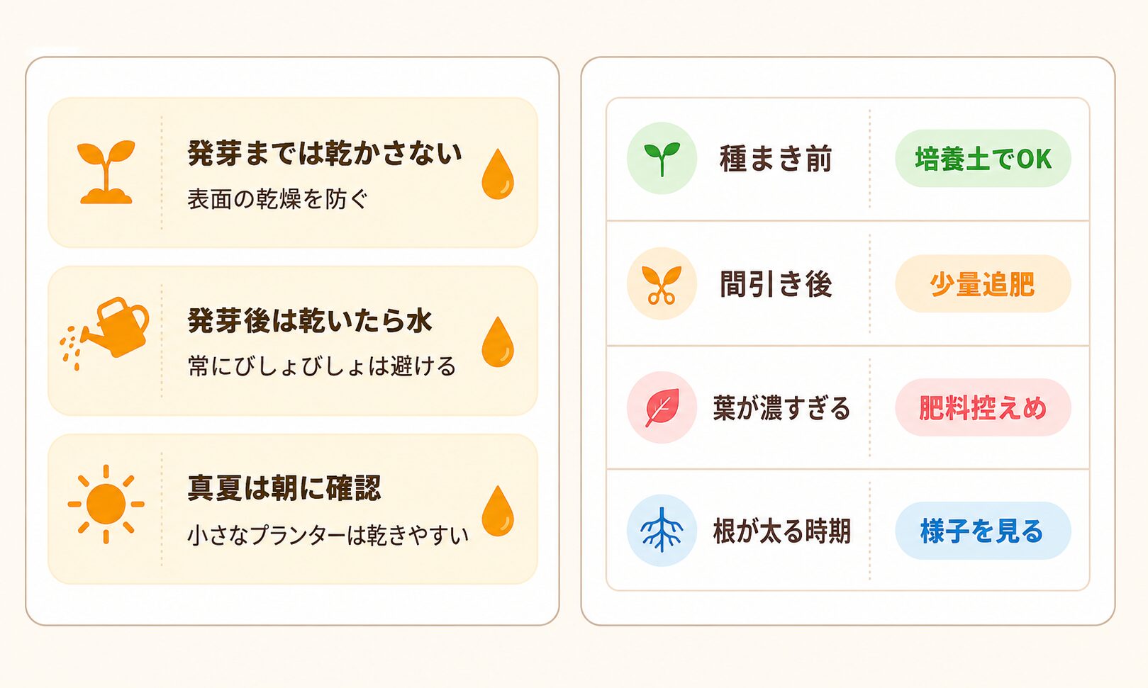 にんじん栽培の水やりと肥料の基本