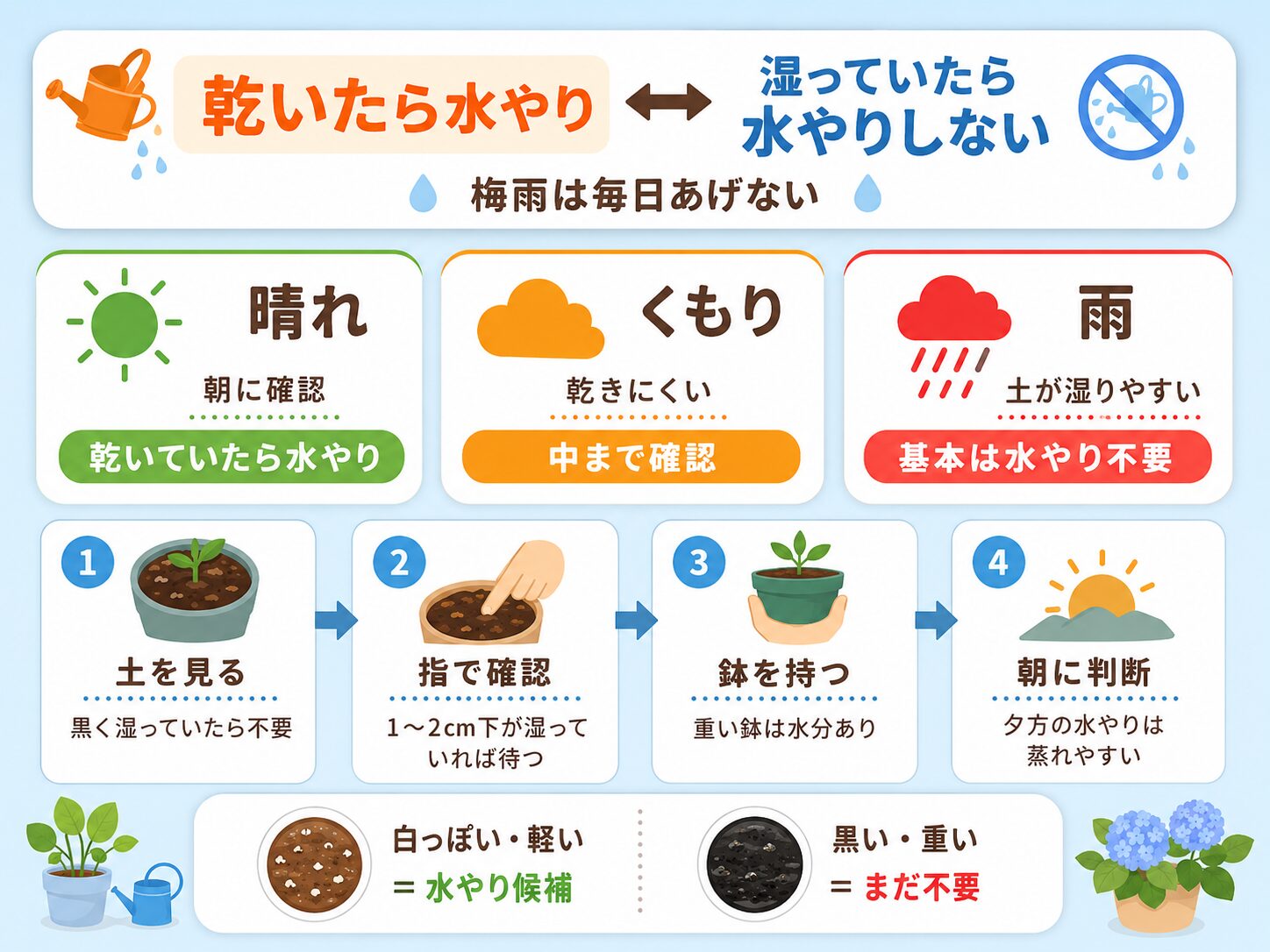 梅雨の水やり判断として乾いたら水やり、湿っていたら水やりしないことを示した図解