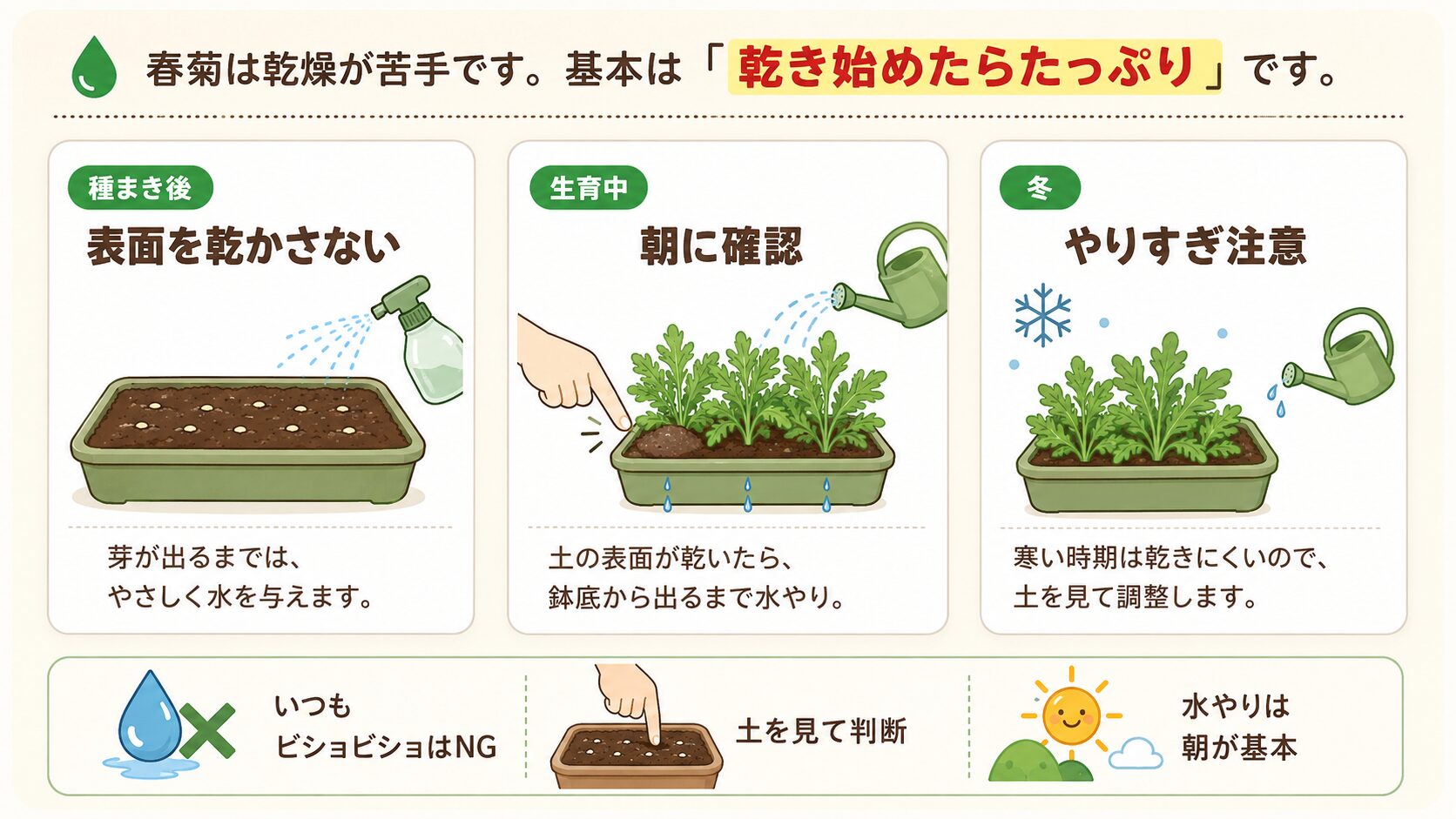 春菊の水やりで乾燥させすぎないための管理方法