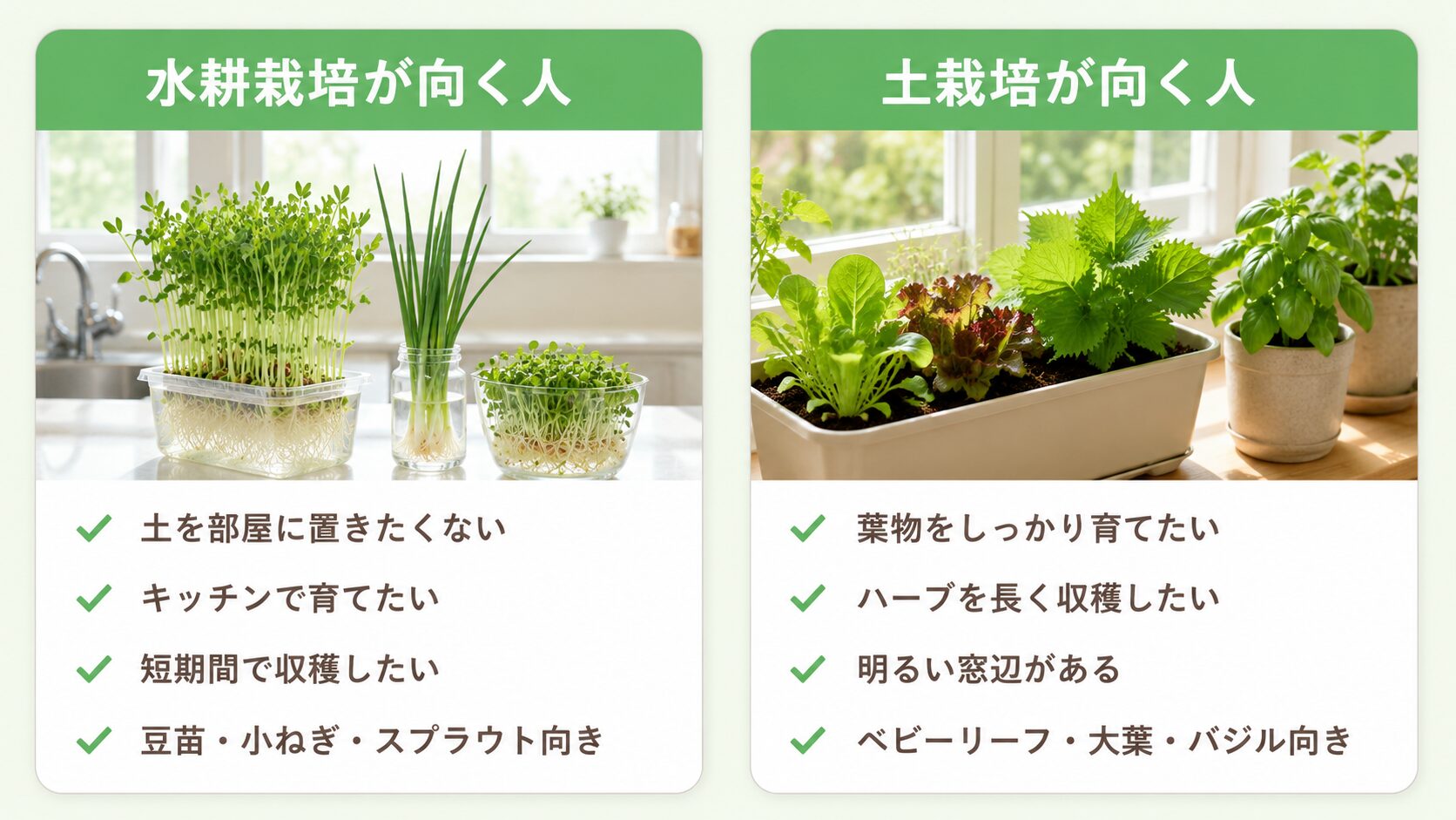 室内菜園で水耕栽培が向く人と土栽培が向く人を比較した図解