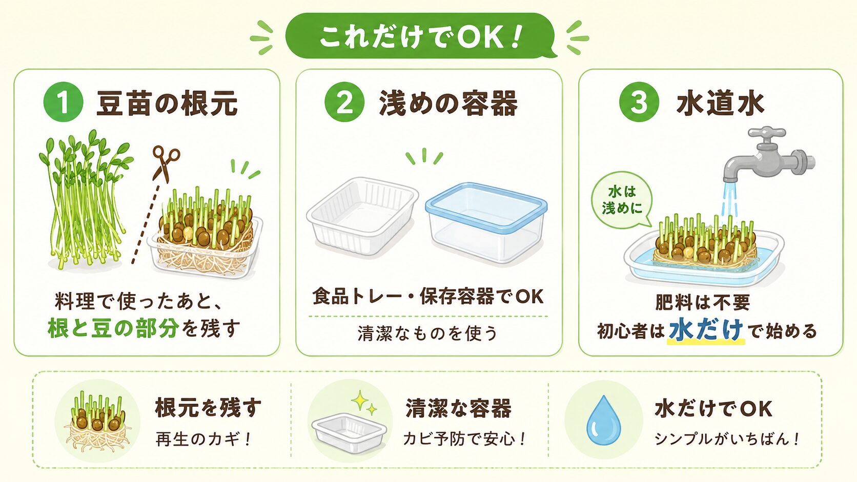 豆苗の再生栽培に必要なもの。豆苗の根元、浅めの容器、水道水を説明した図解