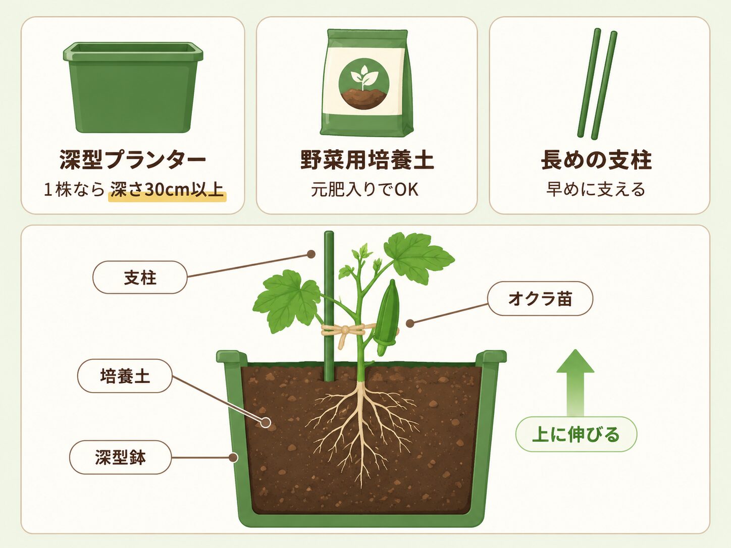 オクラのプランター栽培に必要な深型プランター・野菜用培養土・長めの支柱を示した図解