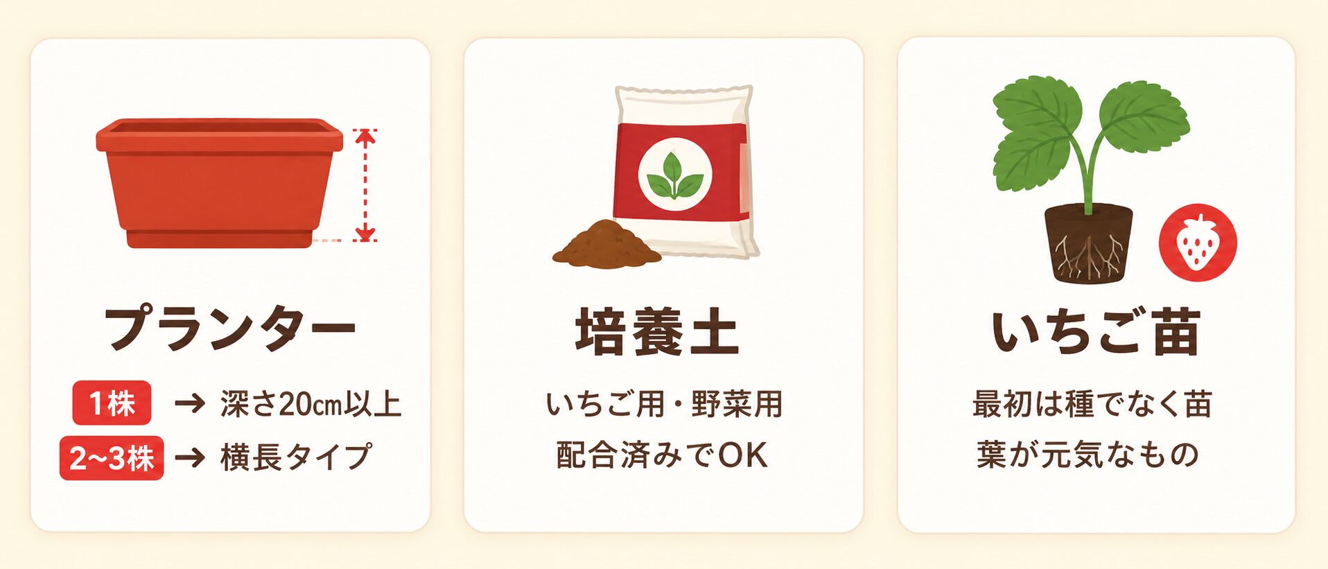 いちごのプランター栽培で準備するもの。プランター、培養土、いちご苗の選び方を示した図解
