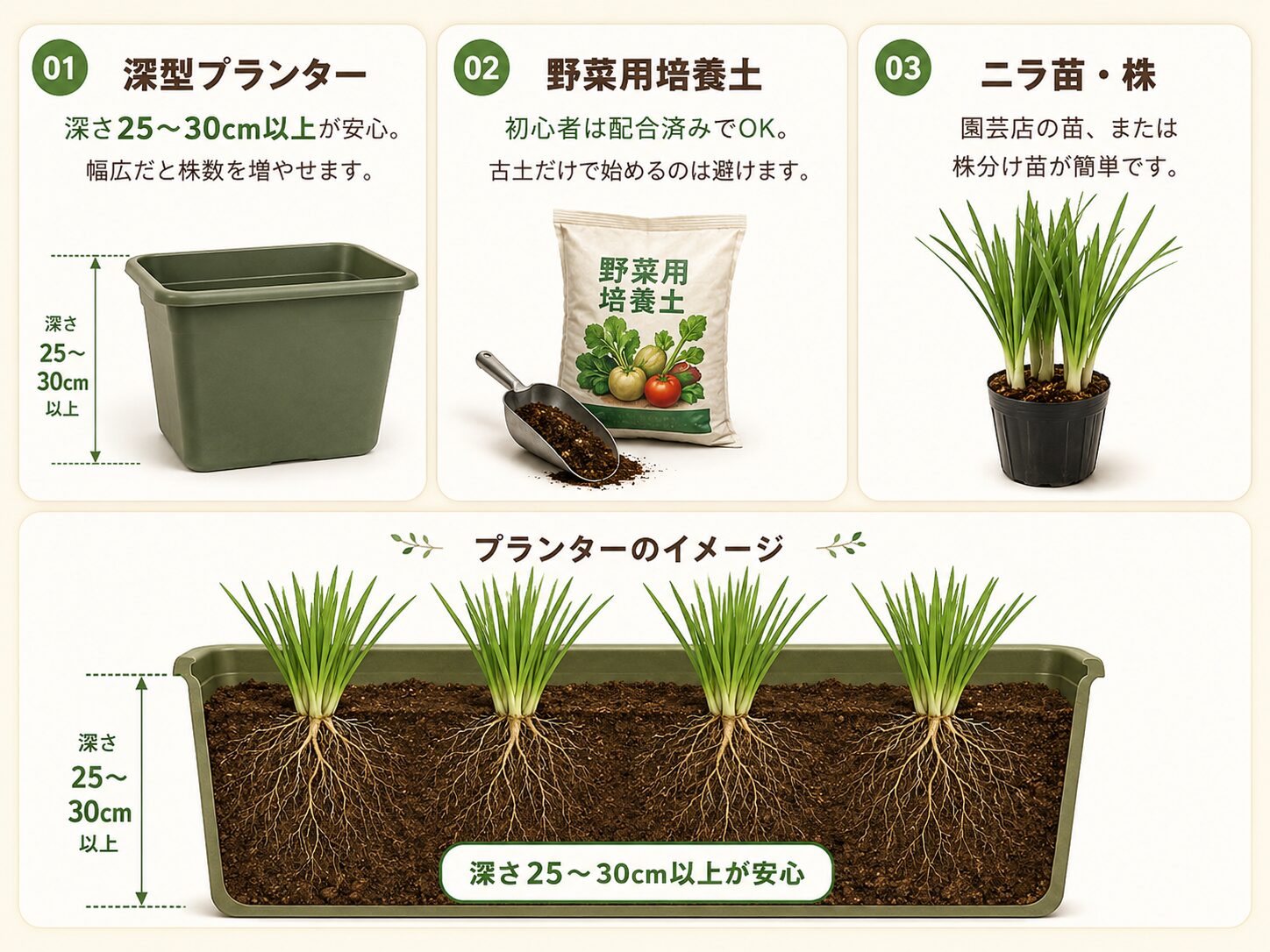 ニラのプランター栽培で準備するものを示す図解