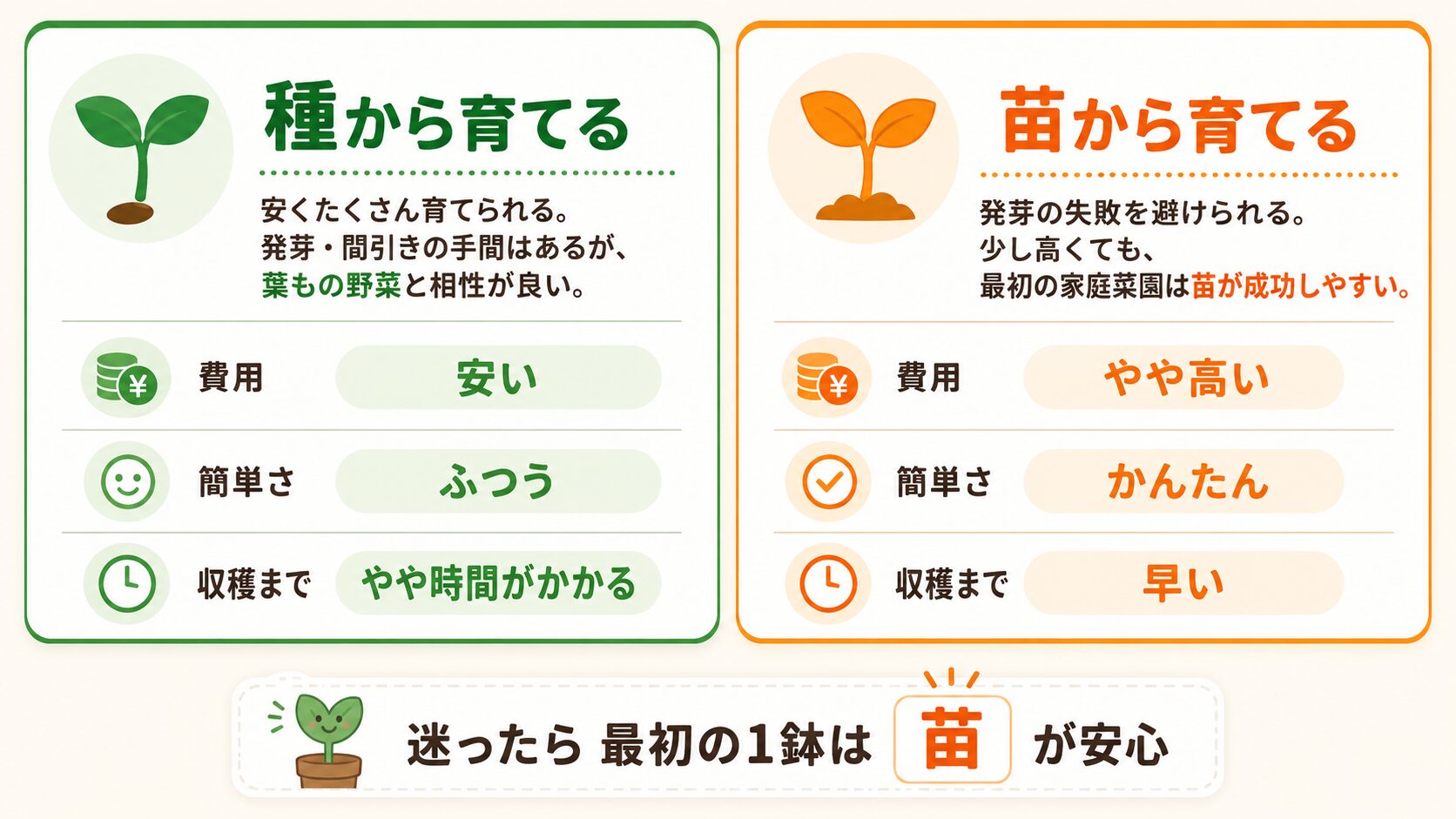 種から育てる場合と苗から育てる場合の違いを比較した図解