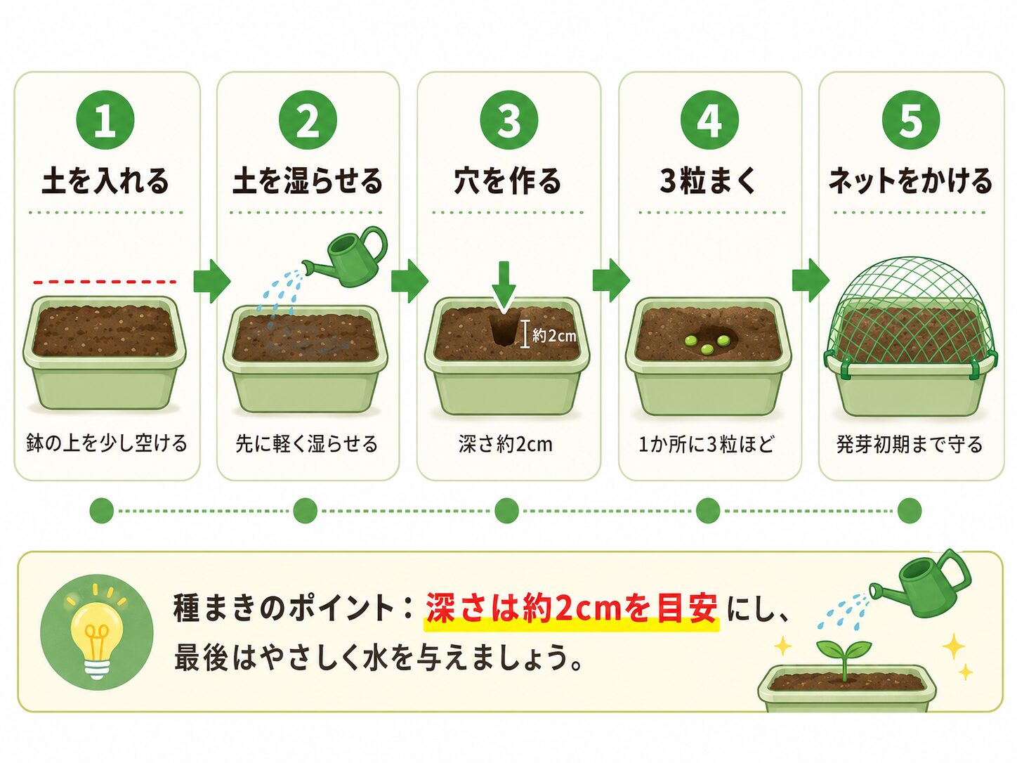 枝豆のプランター栽培における種まき手順。土を入れる、土を湿らせる、穴を作る、3粒まく、ネットをかける流れを図解