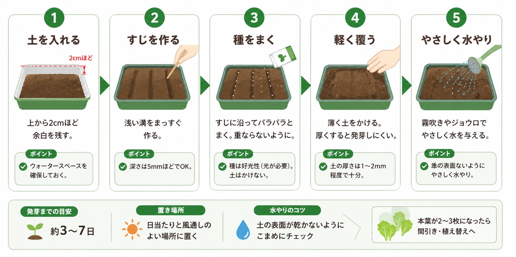 リーフレタスの種まき手順を土入れから水やりまで順番に示した図解