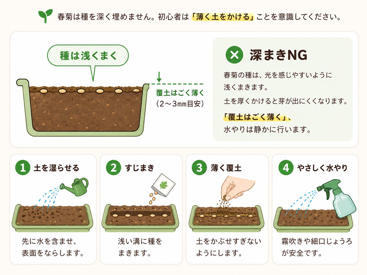 春菊の種まきで発芽しやすくするための浅まきと薄い覆土のコツ