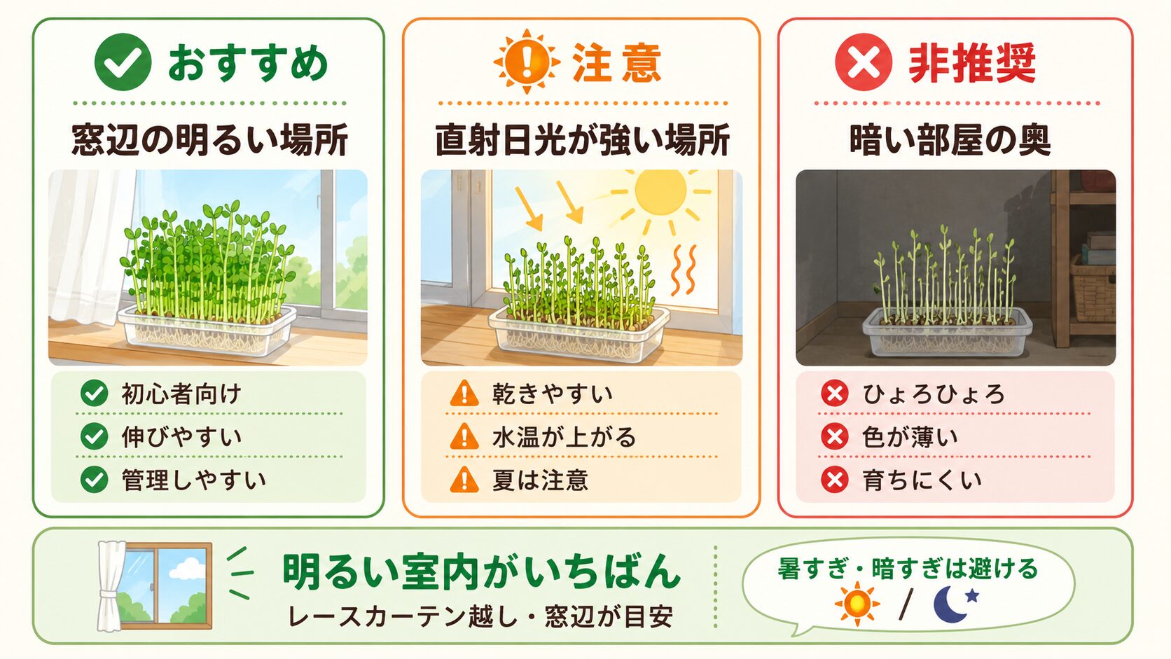 豆苗再生栽培の置き場所。窓辺の明るい場所、直射日光が強い場所、暗い部屋を比較した図解