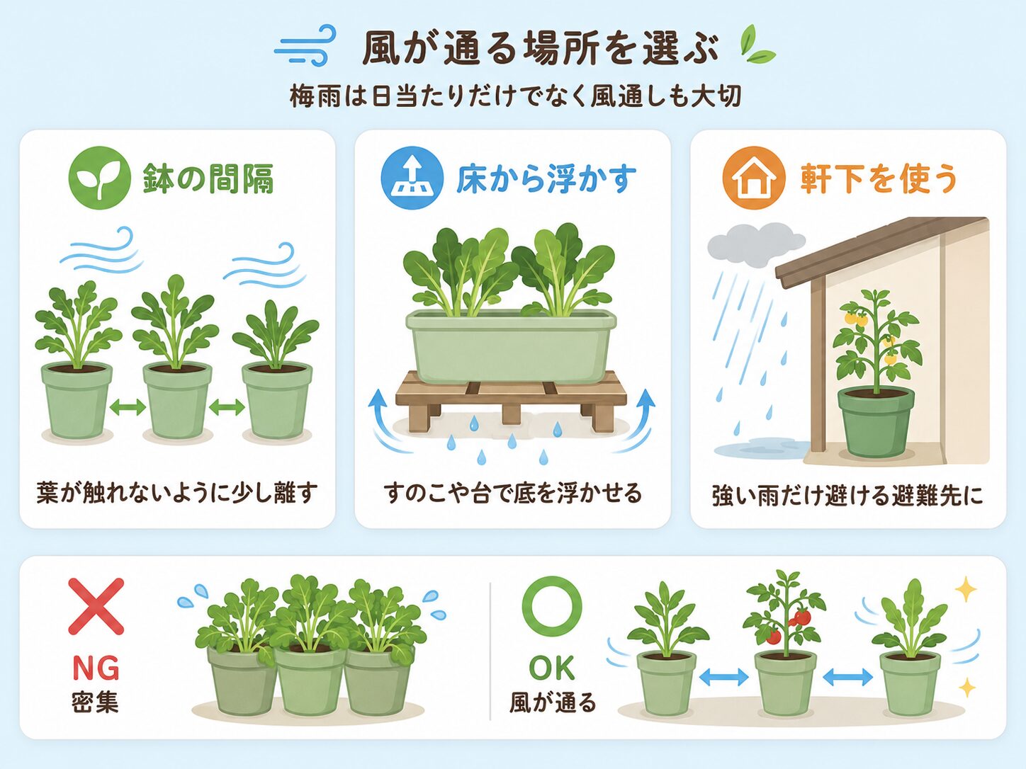 梅雨のプランター置き場所として鉢の間隔、床から浮かす、軒下を使う方法を示した図解