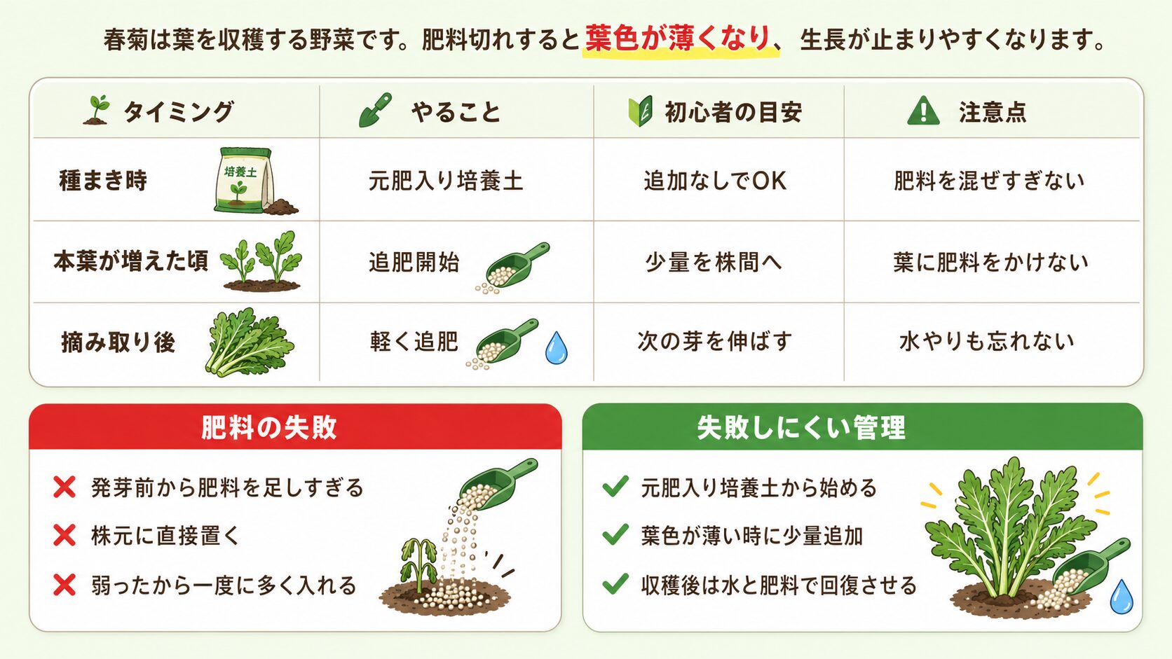 春菊の肥料と追肥のタイミングを初心者向けに示した表