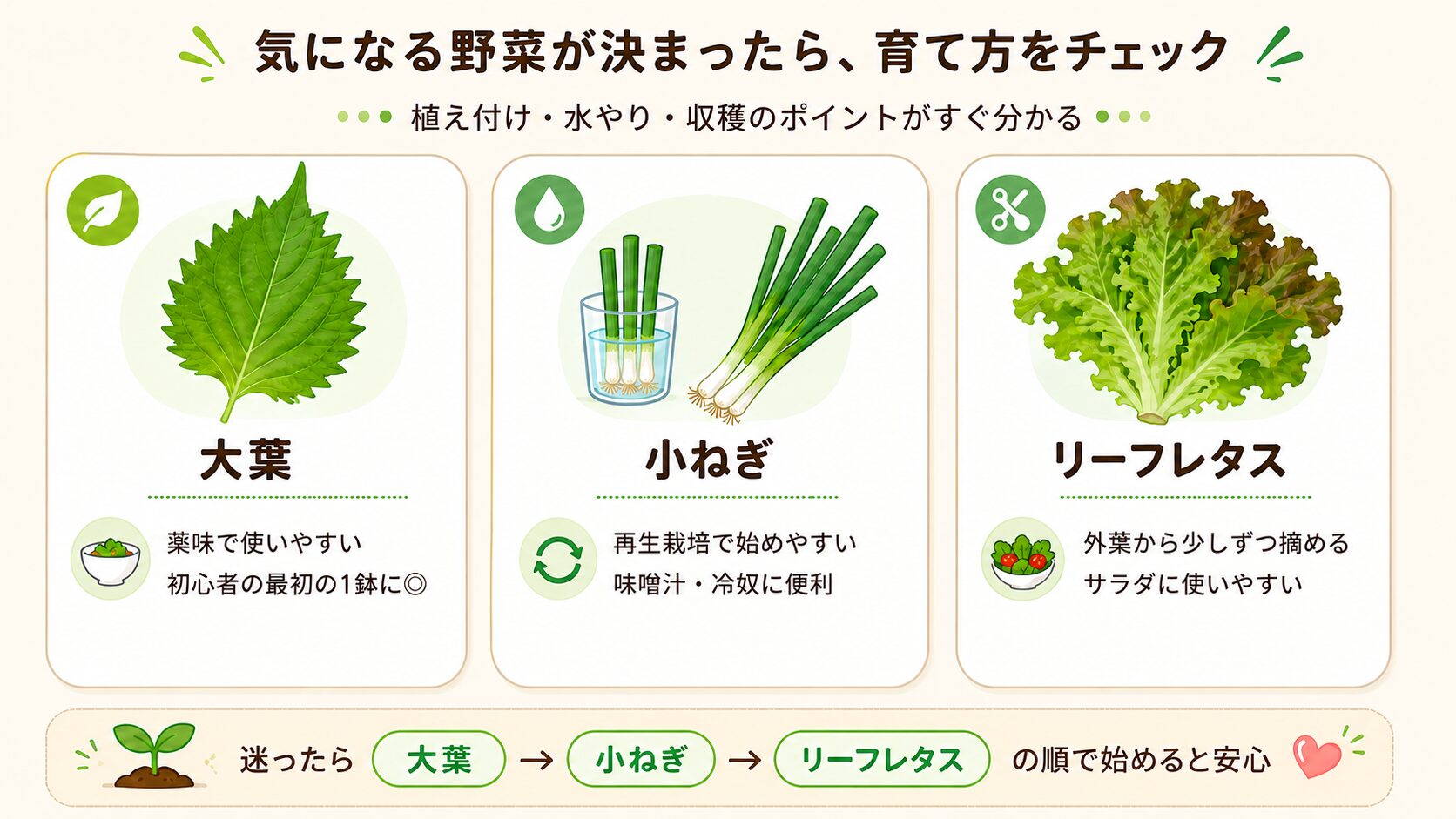 大葉、小ねぎ、リーフレタスの育て方リンク案内。気になる野菜が決まったら育て方を確認する流れを図解。