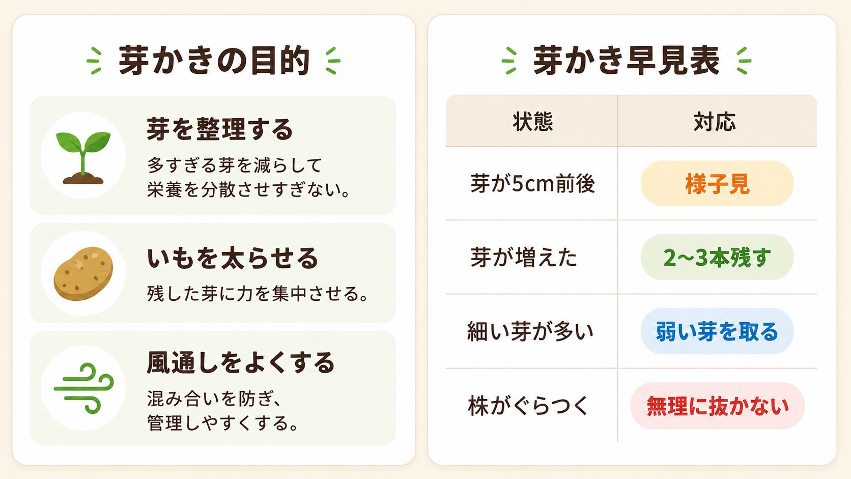 じゃがいもの芽かきの目的と早見表。芽を整理する、いもを太らせる、風通しをよくするポイントを示した図解