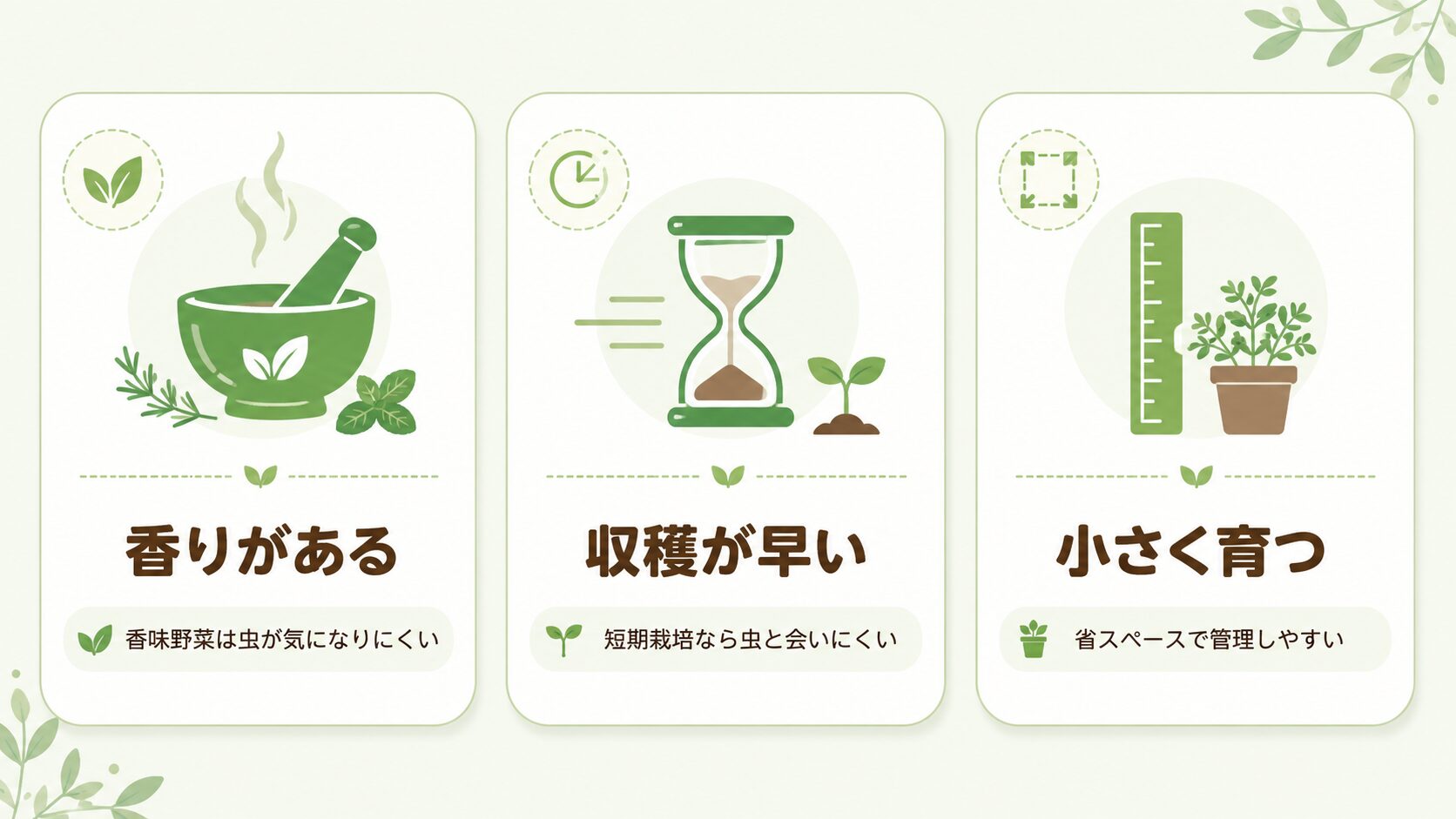 虫がつきにくい野菜の共通点を示した図解。香りがある、収穫が早い、小さく育つという3つの特徴をイラストで解説