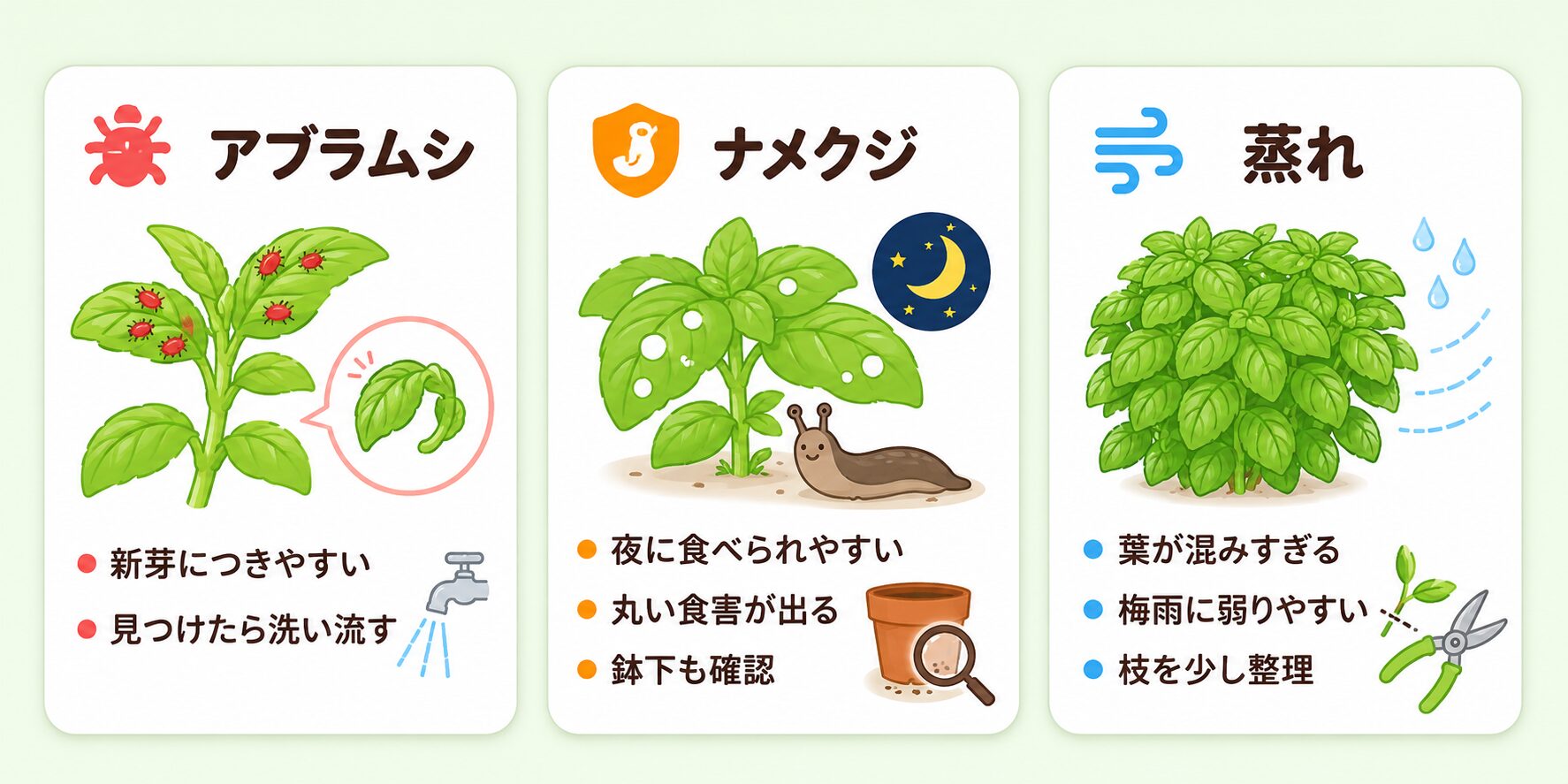 バジル栽培で初心者が見るべき虫と病気のサイン。アブラムシ、ナメクジ、蒸れの症状と対策を示した図解