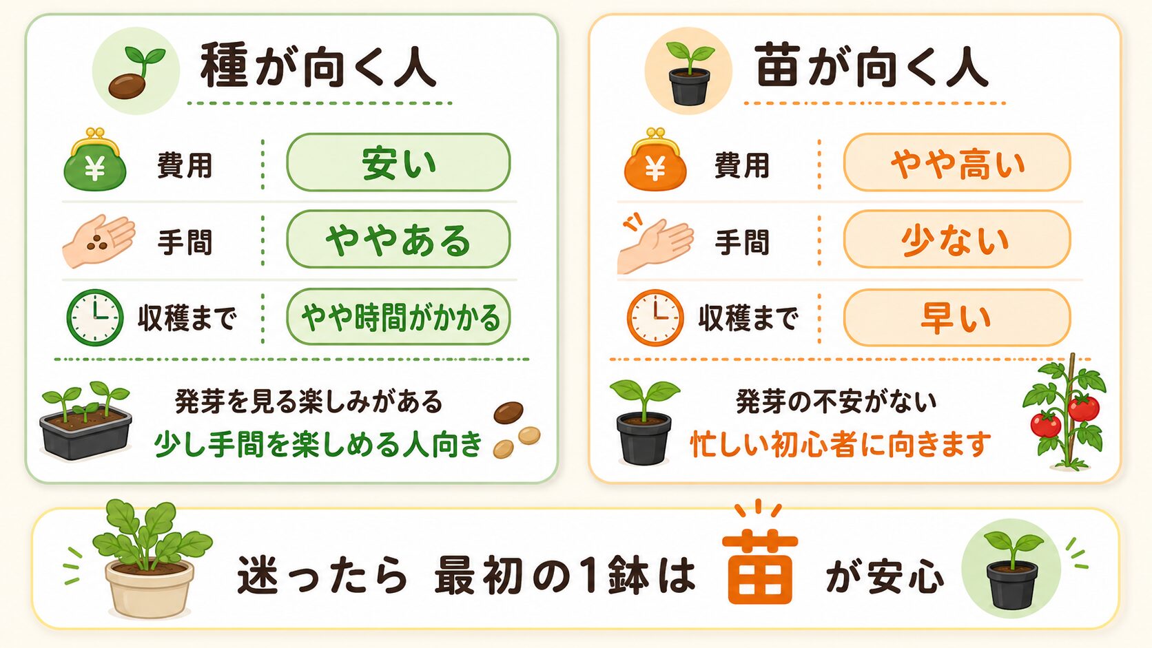 種が向く人と苗が向く人を費用・手間・収穫の違いで比較した図解
