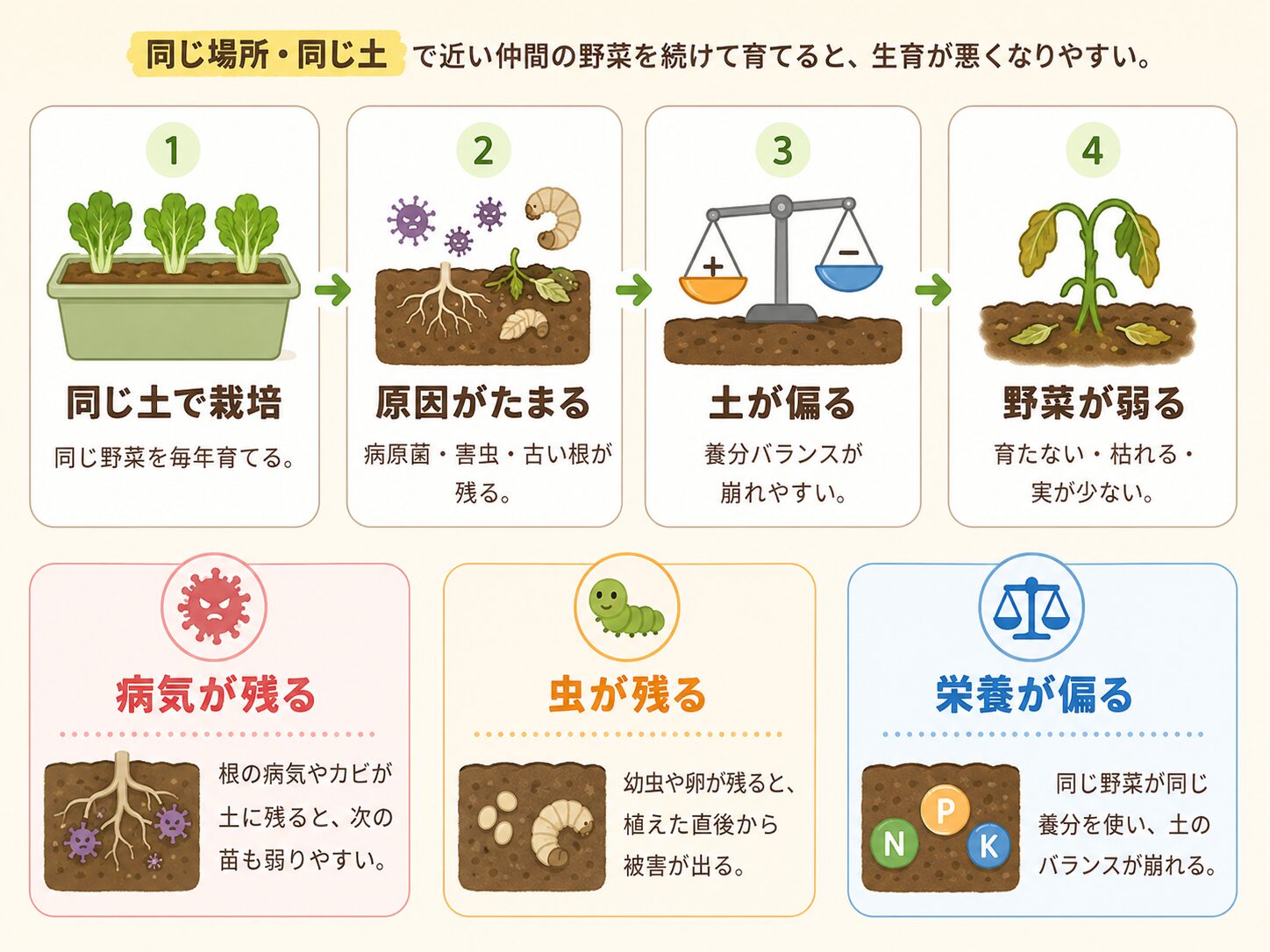 連作障害が起こる流れを同じ土での栽培から野菜が弱るまで図解した画像