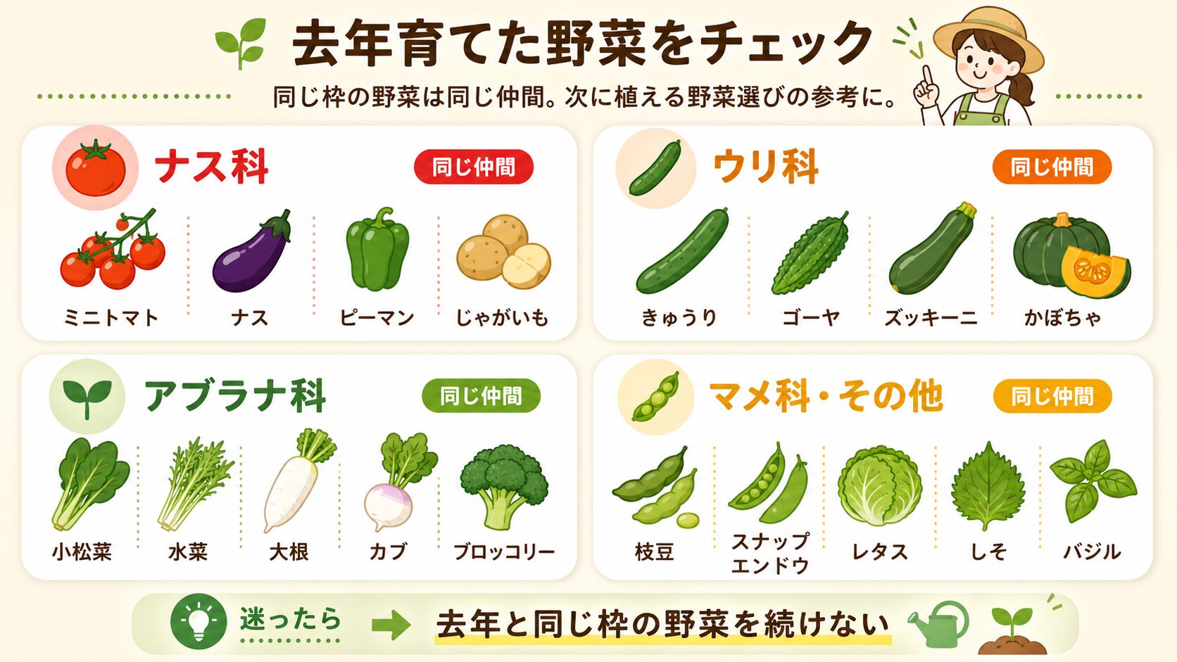ナス科、ウリ科、アブラナ科、マメ科など野菜の仲間をイラストで整理した早見表