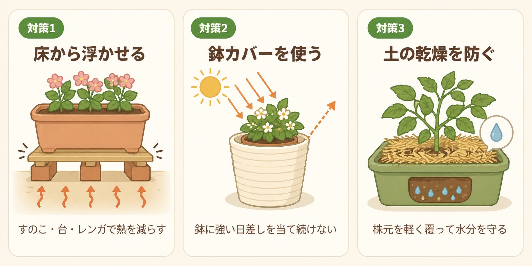 鉢の温度対策を示した図解。床から浮かせる、鉢カバーを使う、土の乾燥を防ぐ方法を説明。