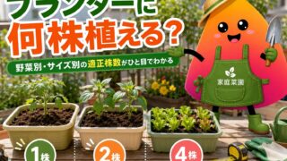 【早見表】プランターに野菜は何株？60cm・丸鉢の適正株数と株間
