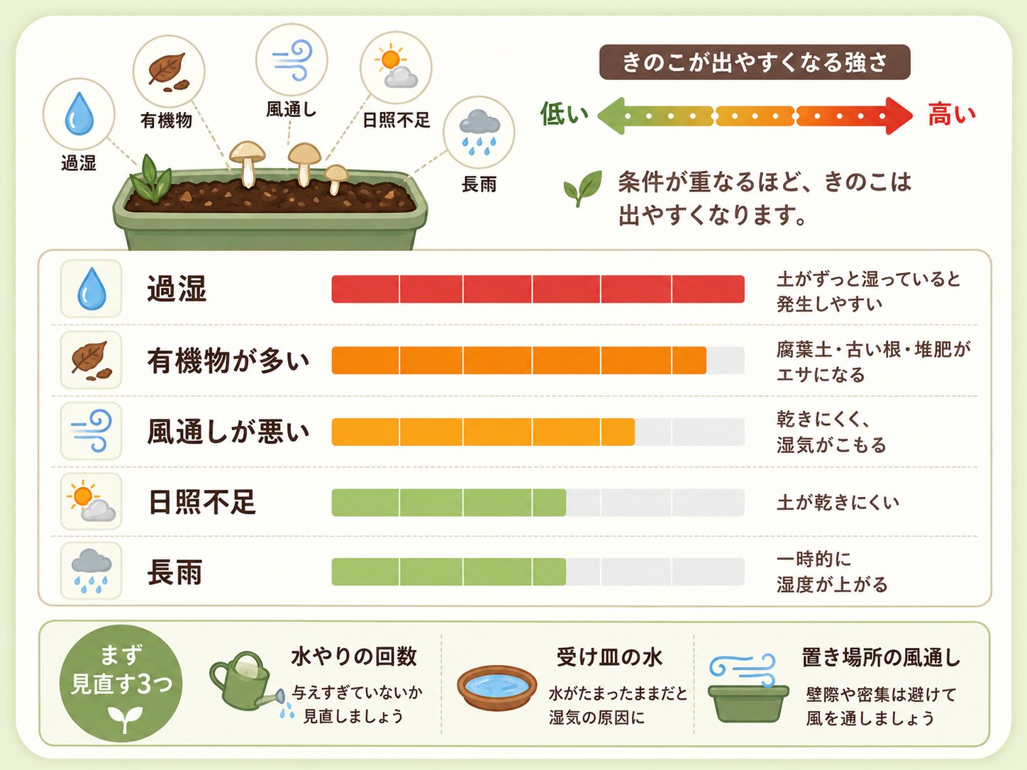 きのこが出やすくなる条件と見直すポイント