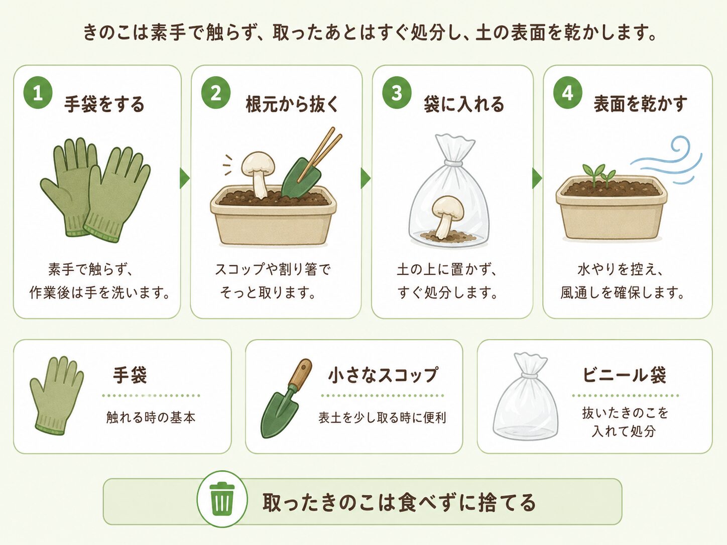プランターのきのこを安全に取る手順