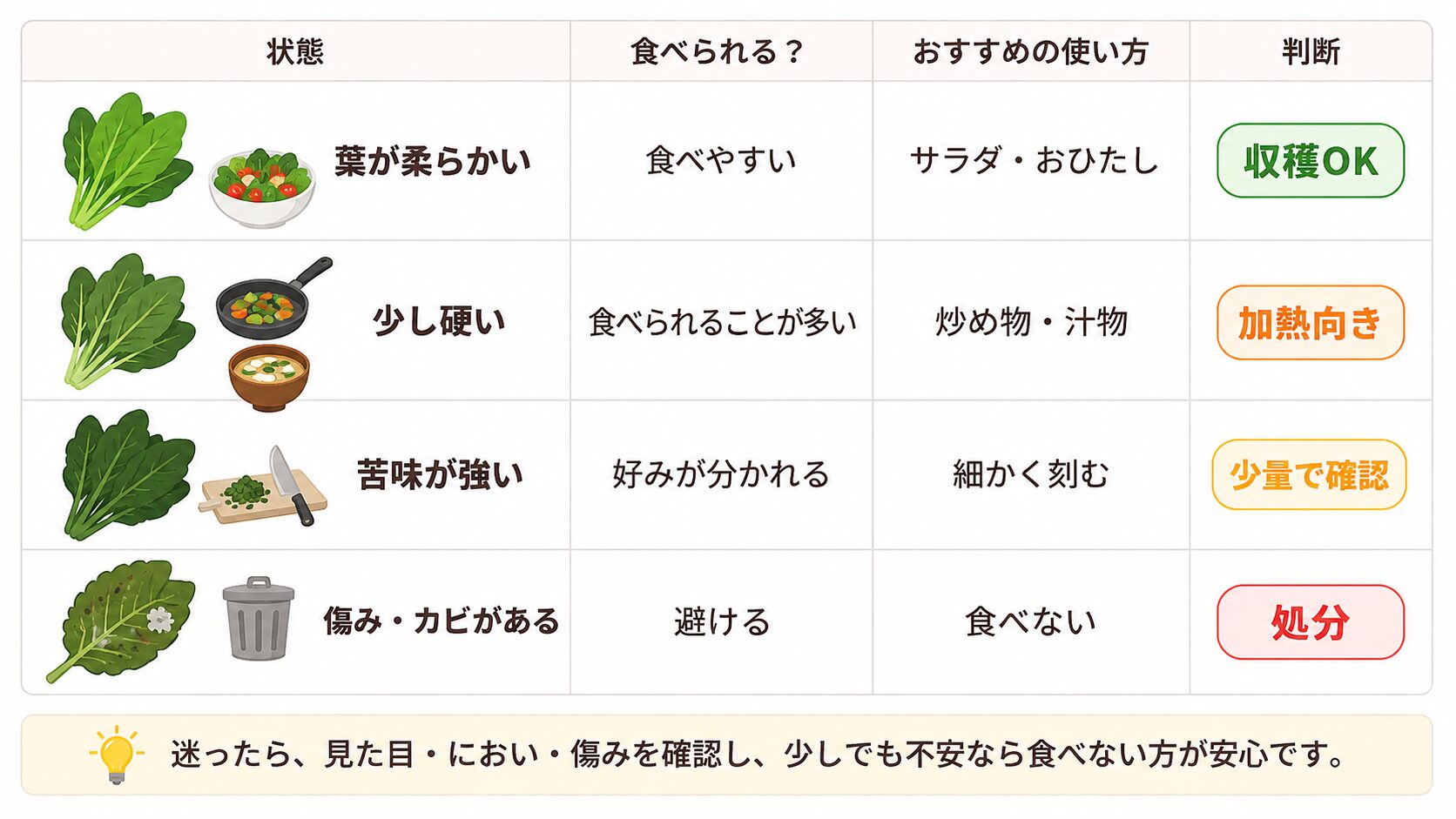 とう立ちした葉が食べられるかどうかを、葉が柔らかい、少し硬い、苦味が強い、傷みやカビがある状態別に示した図解。