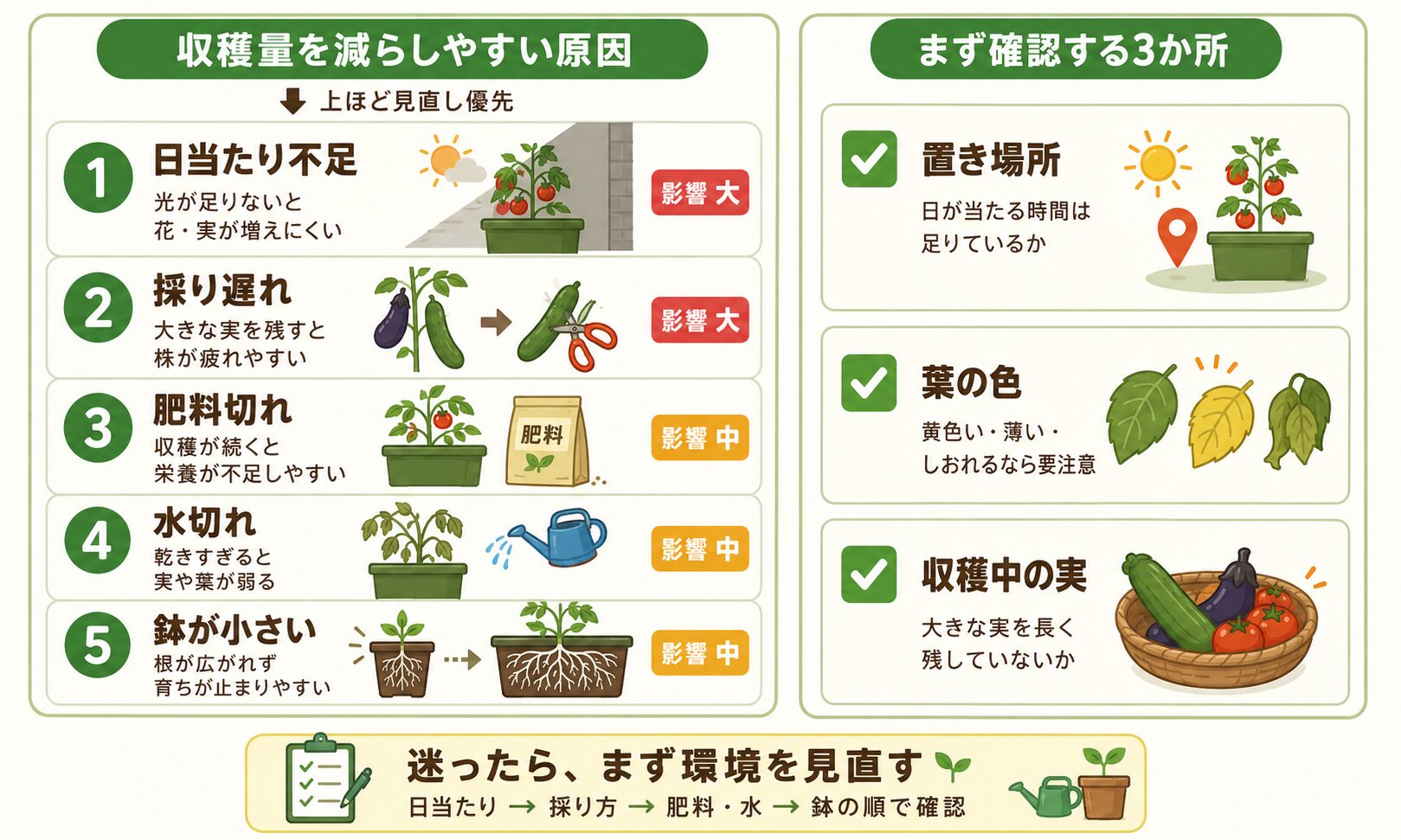 家庭菜園で収穫量が少ない原因。日当たり不足、採り遅れ、肥料切れ、水切れ、鉢が小さい原因を初心者向けに図解