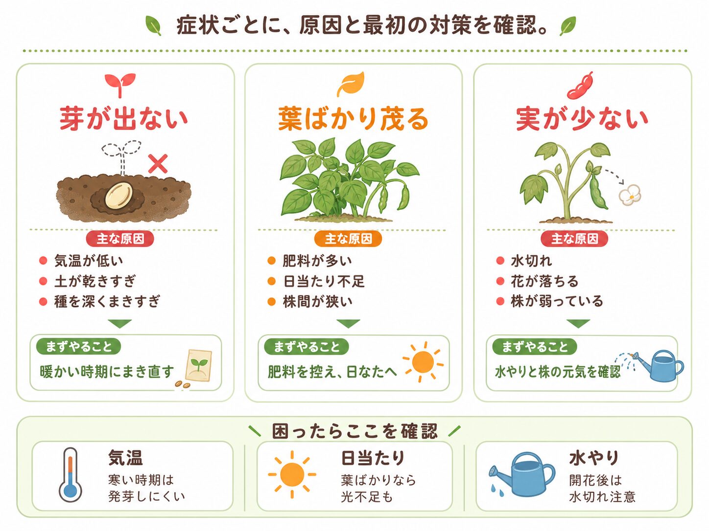 つるなしインゲン栽培でよくある失敗の原因と対策を症状別に解説した図解