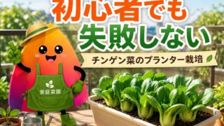 チンゲン菜のプランター栽培｜初心者でも失敗しない育て方・種まき・間引き・収穫のコツ
