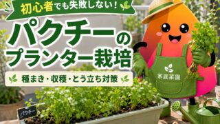 パクチーのプランター栽培｜初心者でも失敗しない種まき・発芽・収穫のコツ
