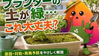 プランターの土が緑に！原因はコケ・藻？放置していい場合と捨てるべきサインを解説