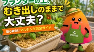 プランターの土はむき出しで大丈夫？初心者向けマルチングの効果・素材・敷き方