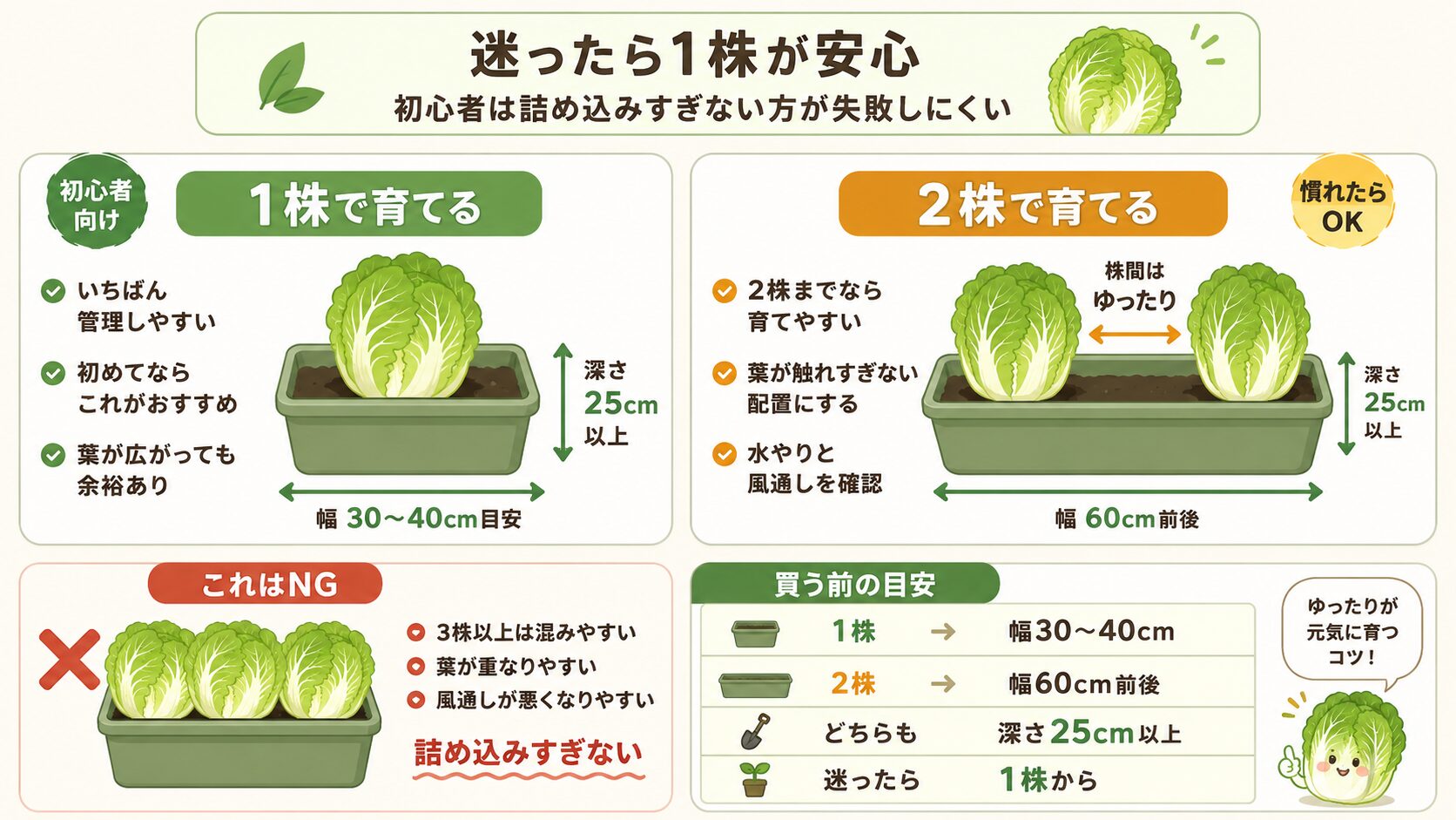 ミニ白菜を1株または2株で育てるプランターサイズの目安