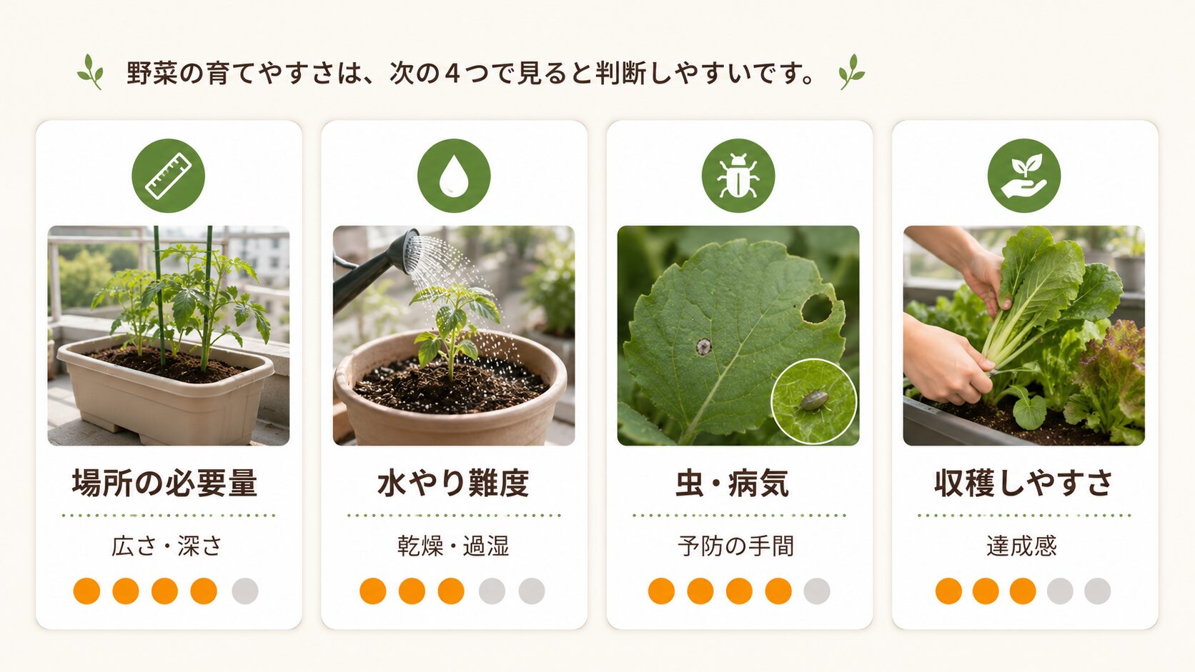 家庭菜園初心者向けの野菜ランキング判断基準