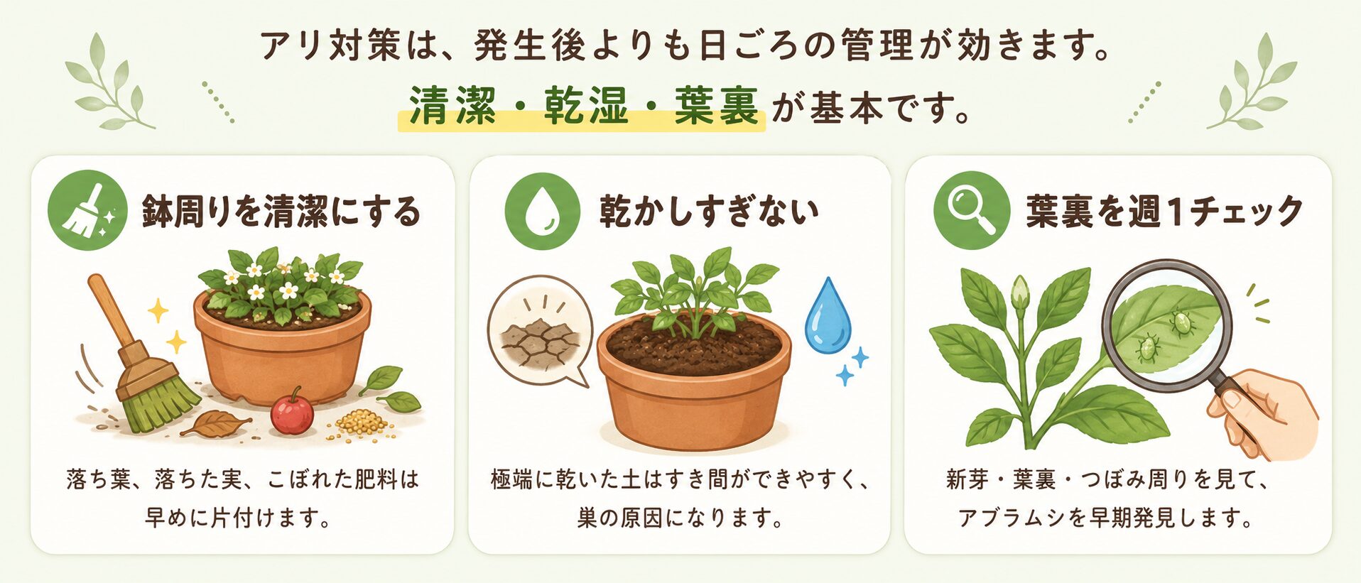 アリを寄せにくいプランター管理として清潔・乾湿・葉裏チェックを示した図解