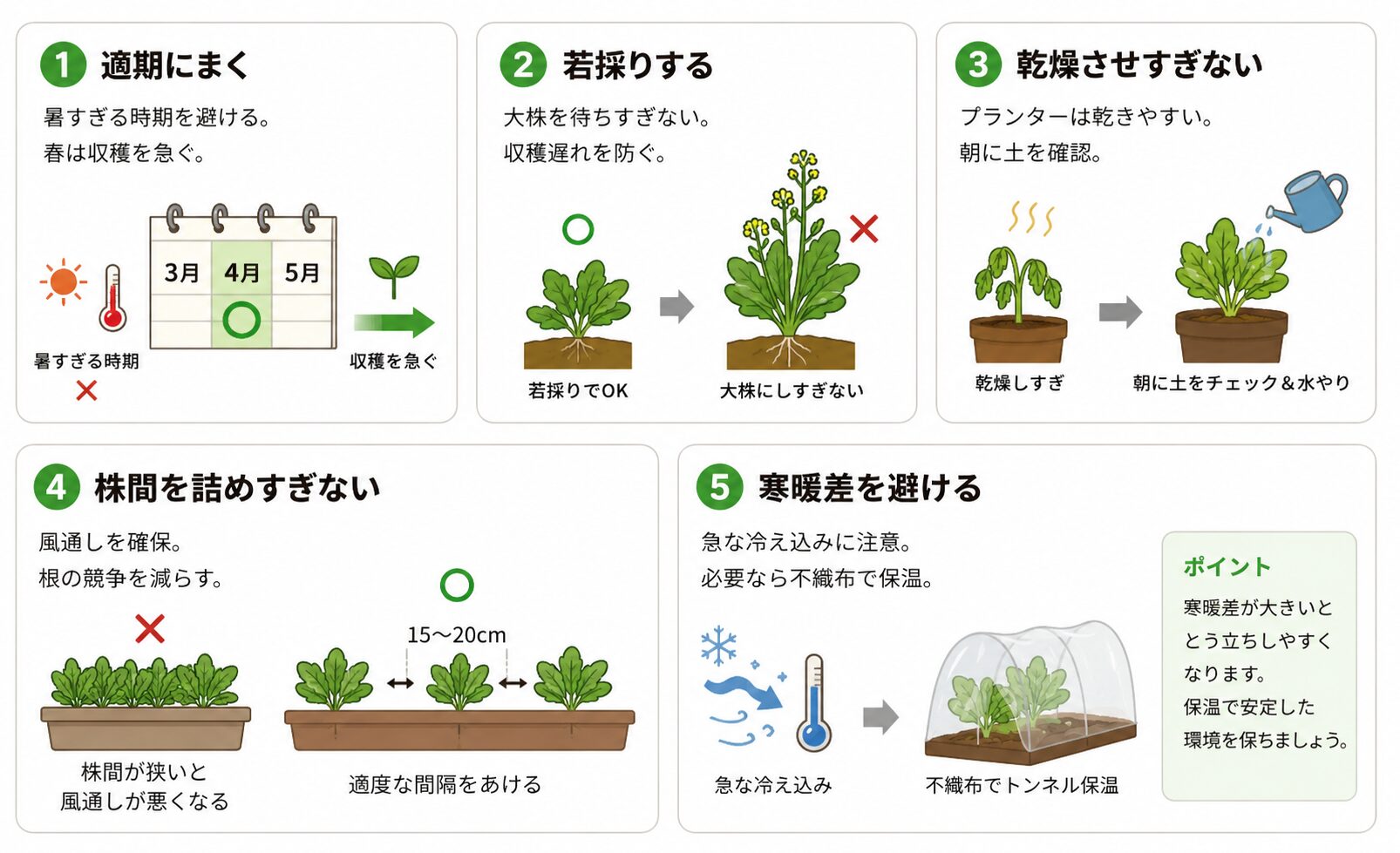 とう立ちを予防するために、適期にまく、若採りする、乾燥させすぎない、株間を詰めすぎない、寒暖差を避けることを示した図解。