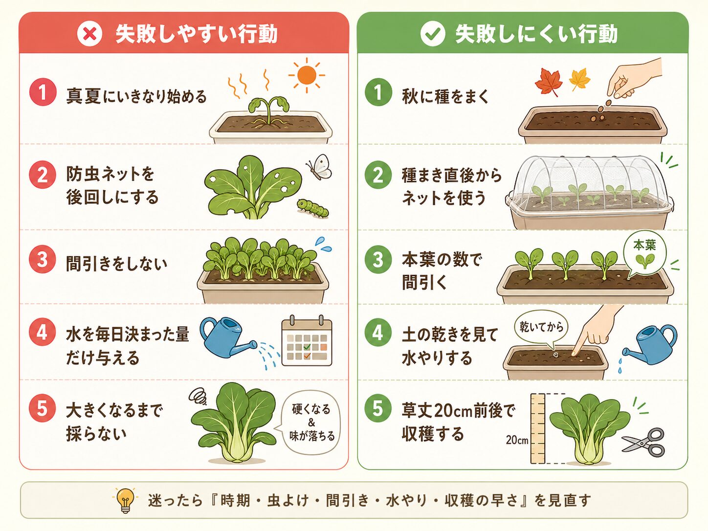 チンゲン菜栽培で初心者がやりがちな失敗と改善行動を比較した図解