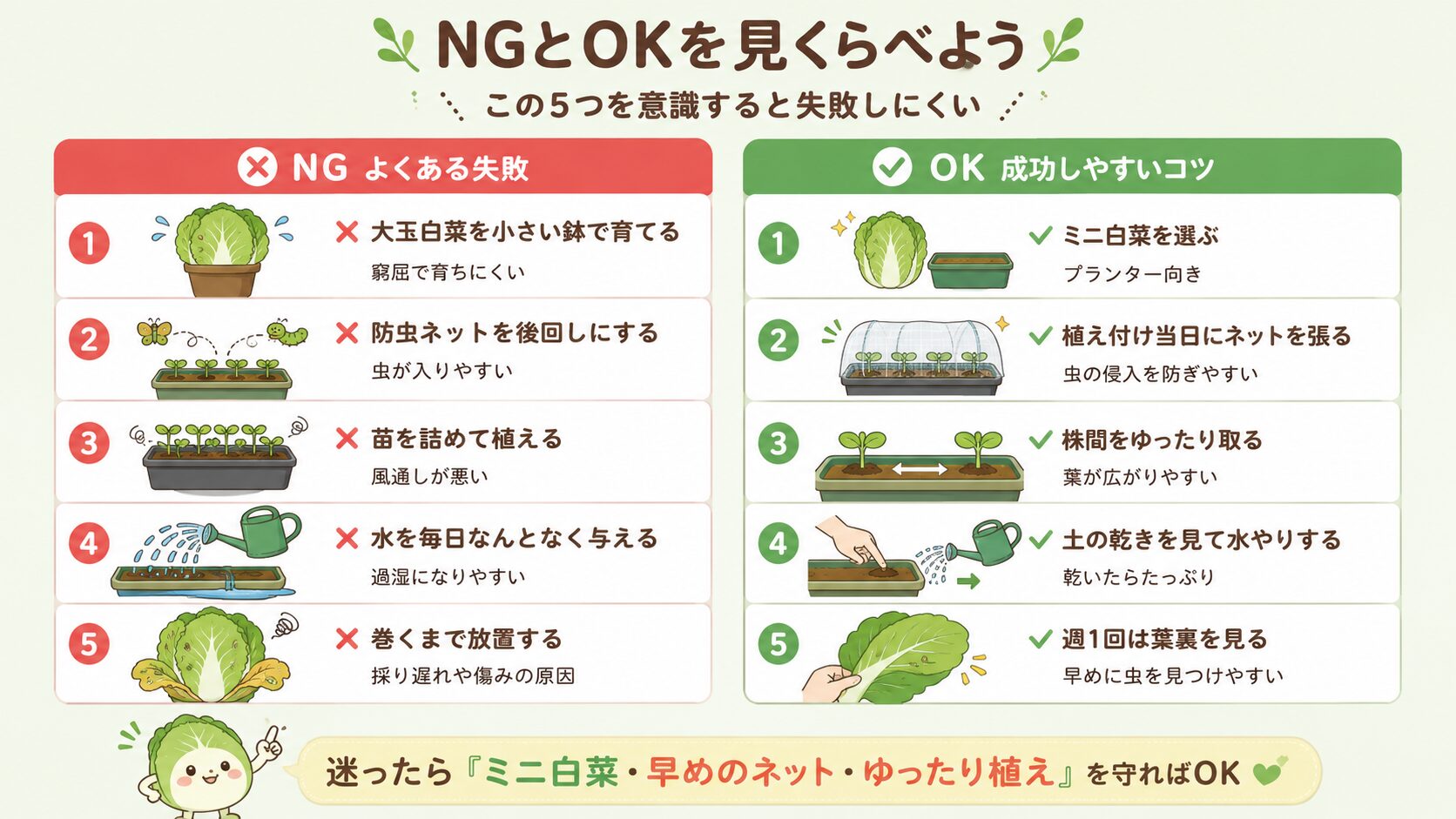 ミニ白菜栽培で初心者がやりがちな失敗と成功しやすい行動の比較図
