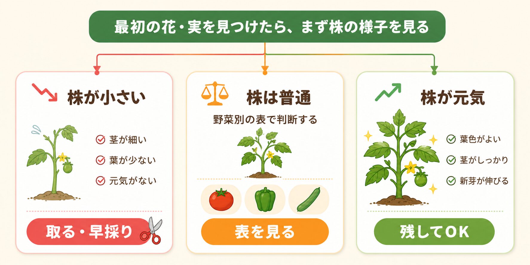 花や実を見つけた時に株の状態で判断するフロー図