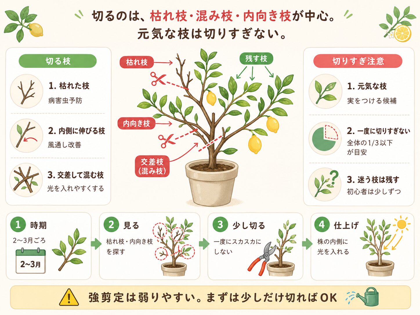 レモンの剪定で切る枝と残す枝の見分け方