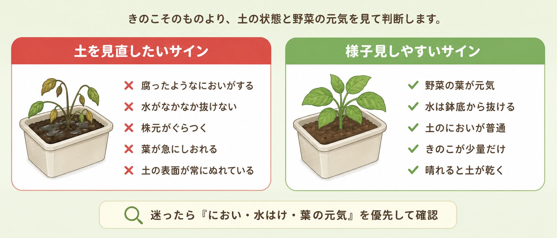 土を見直したい危険サインと様子見しやすいサイン
