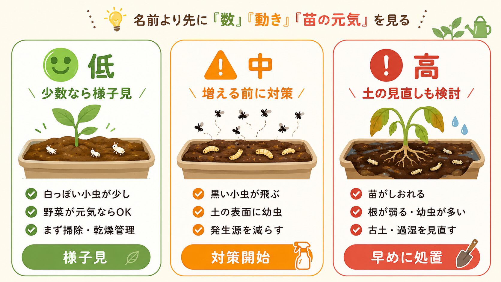 プランターの土にいる小さい虫の危険度を低・中・高で見分ける図解