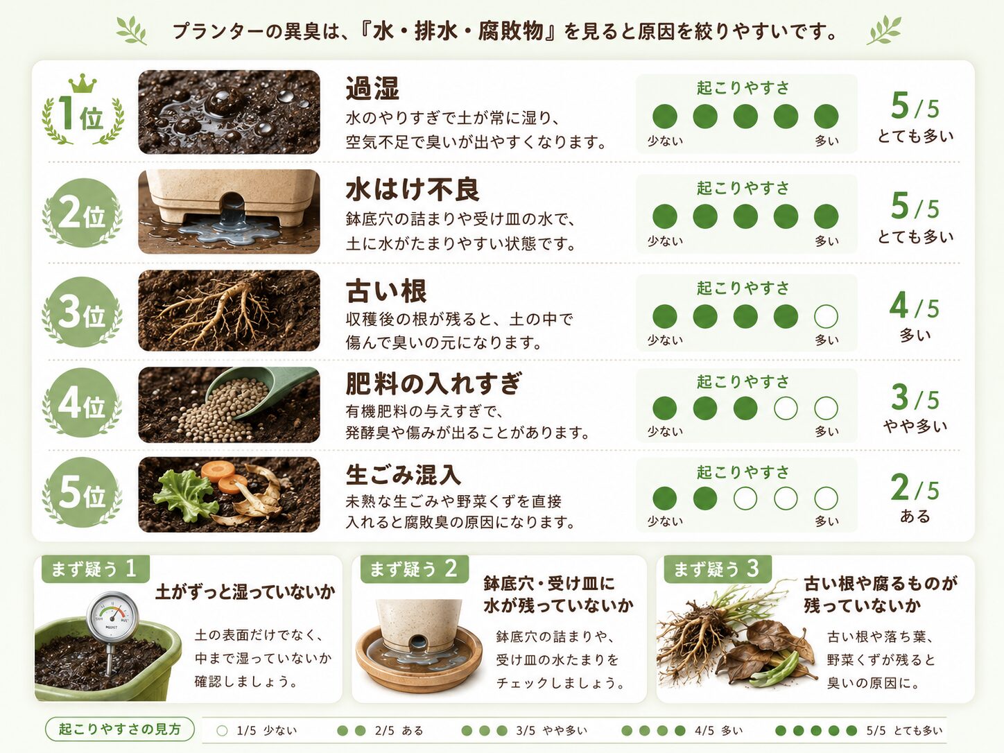プランターの異臭原因を過湿、水はけ不良、古い根、肥料の入れすぎ、生ごみ混入の順にまとめた図解
